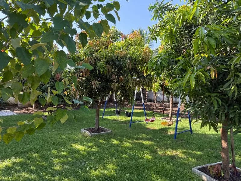 Garden and outdoor seating area at Mango Farmhouse Surat