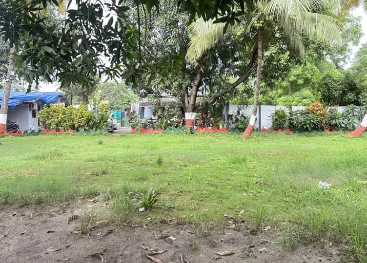 bmf-v090 daman image 6