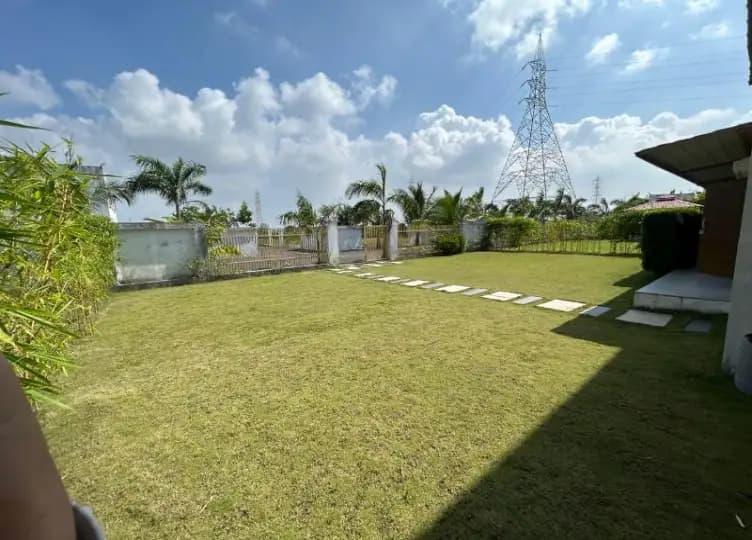 bmf-v065 surat image 10
