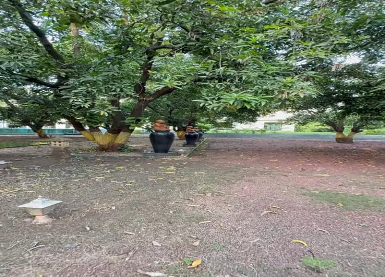 bmf-v153 navsari image 7