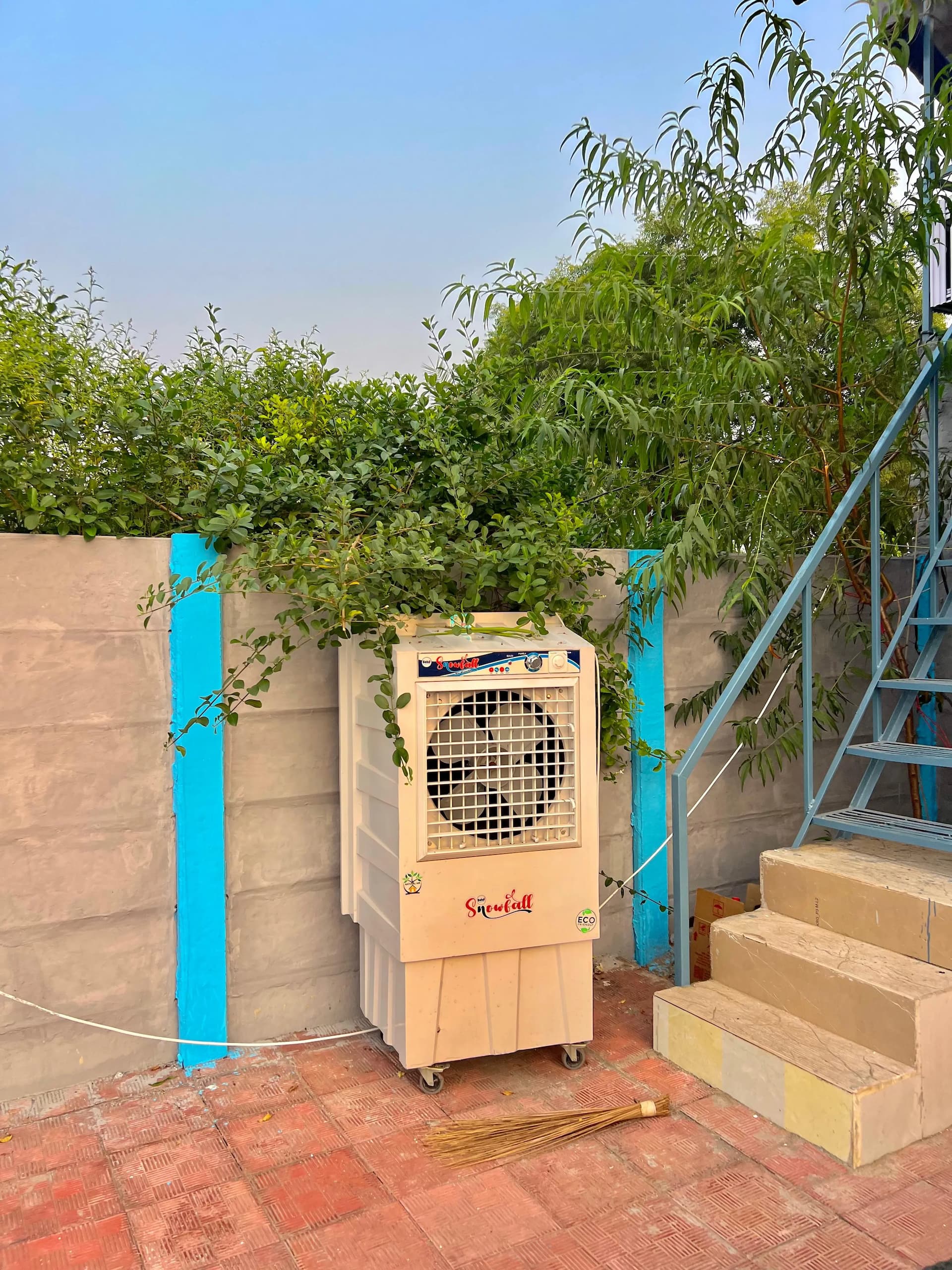 bmf-f264 delhi image 19