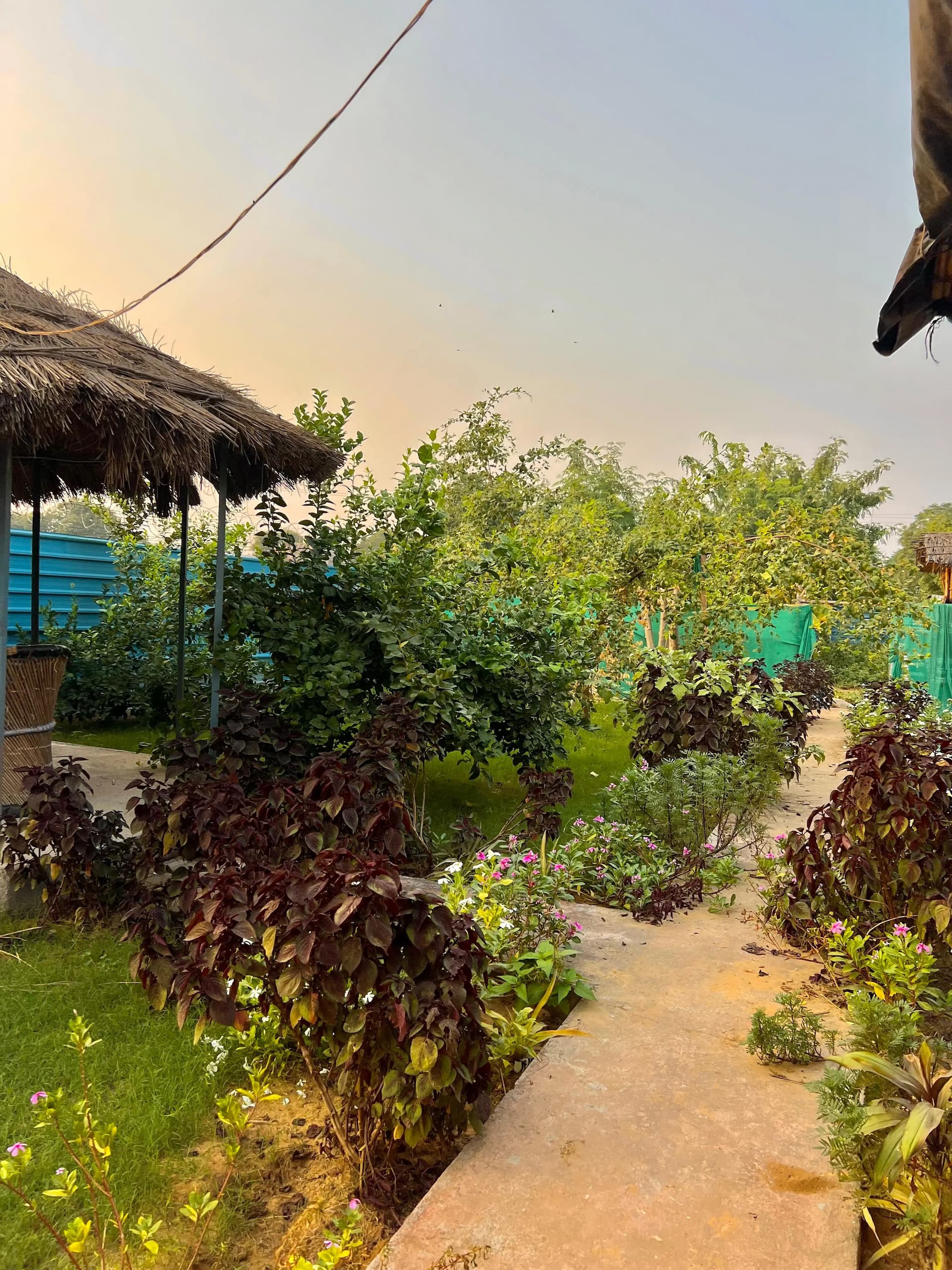 bmf-f264 delhi image 22