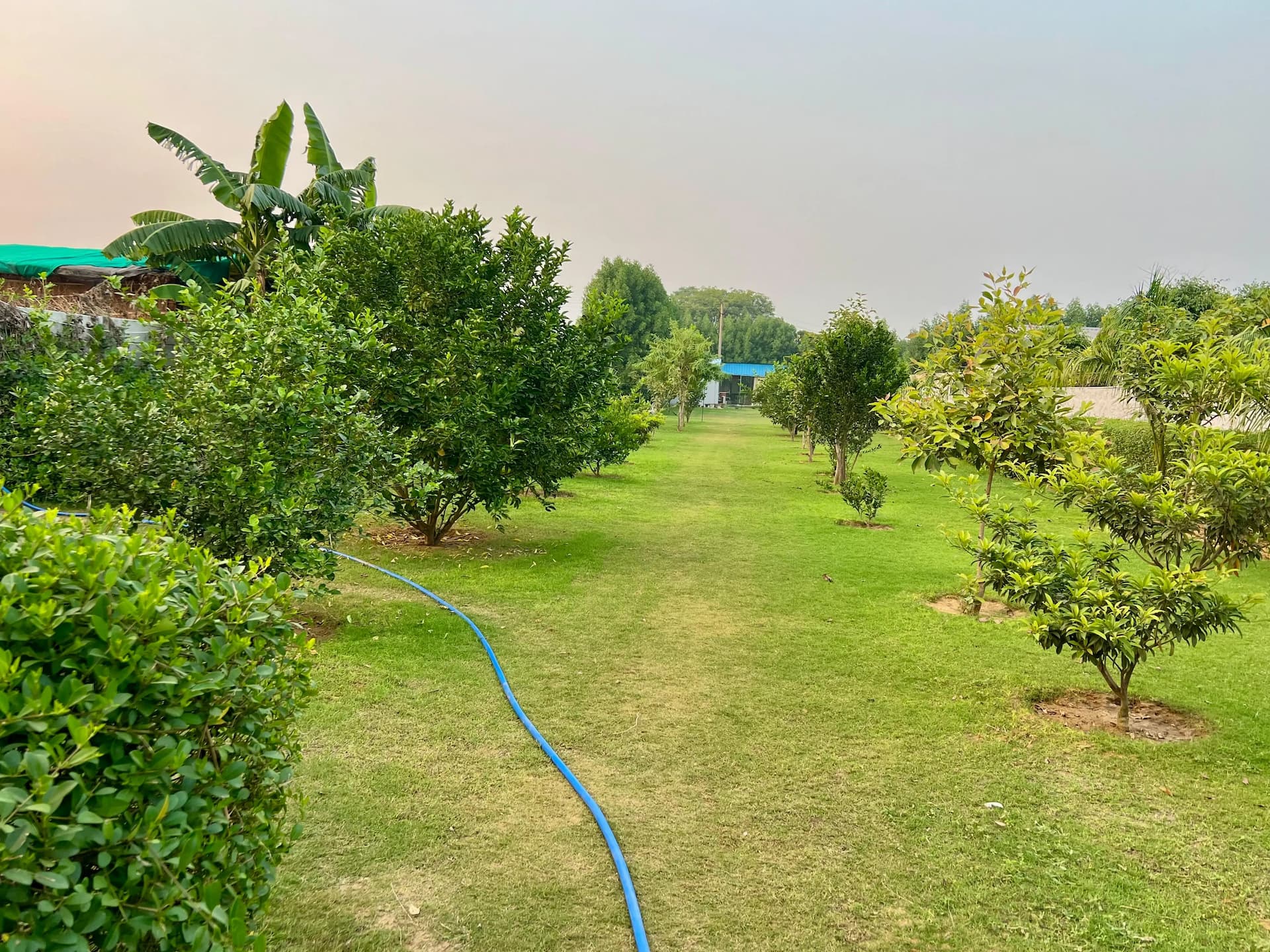 bmf-f264 delhi image 23
