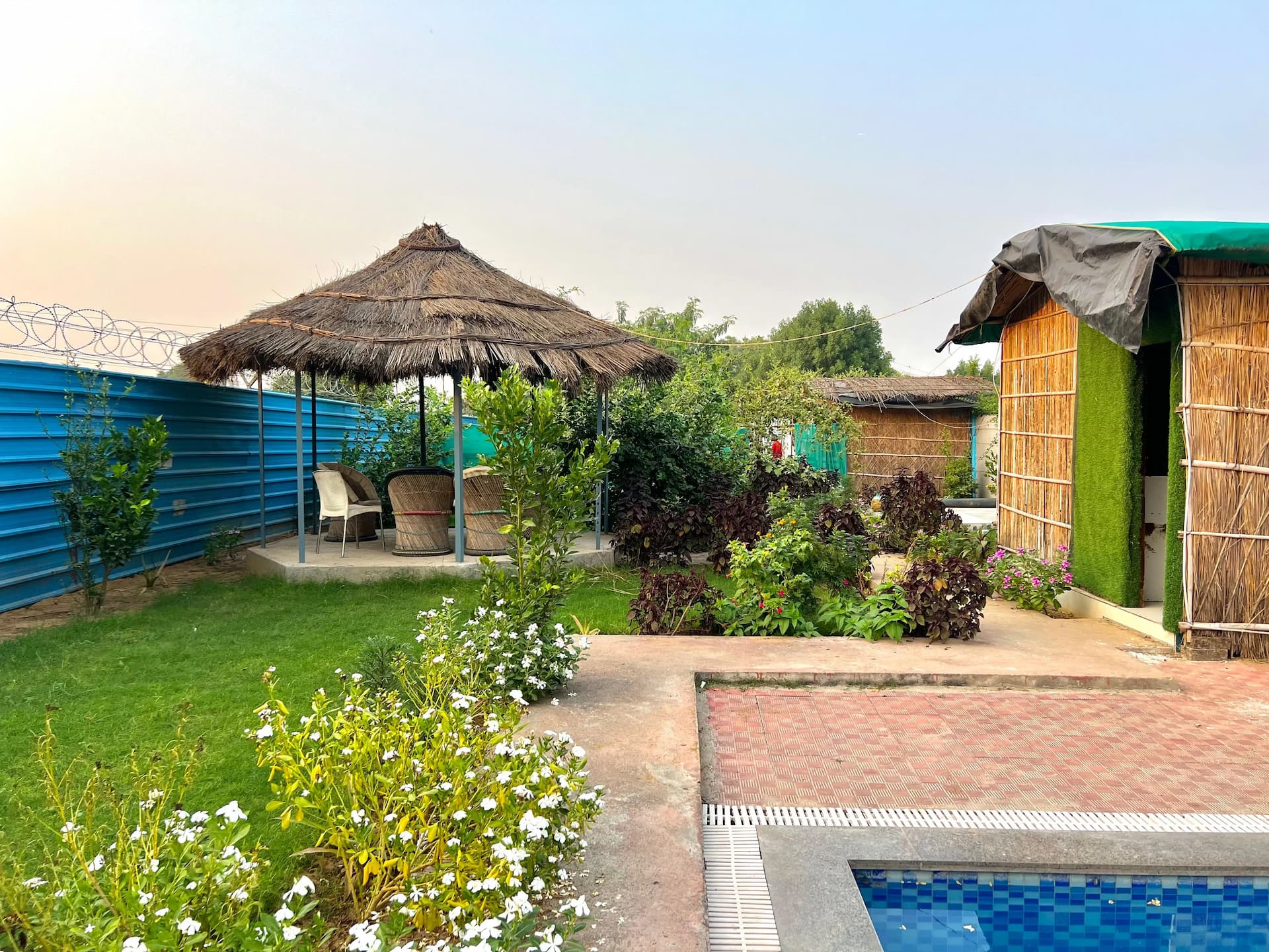bmf-f264 delhi image 24