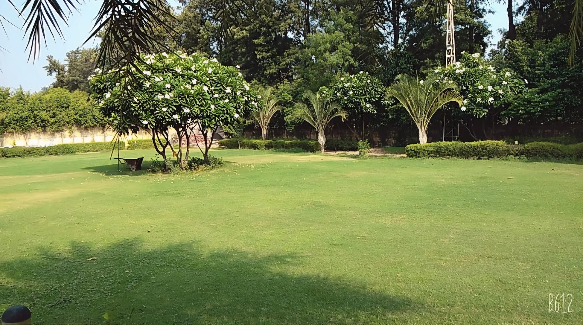 bmf-f266 delhi image 12