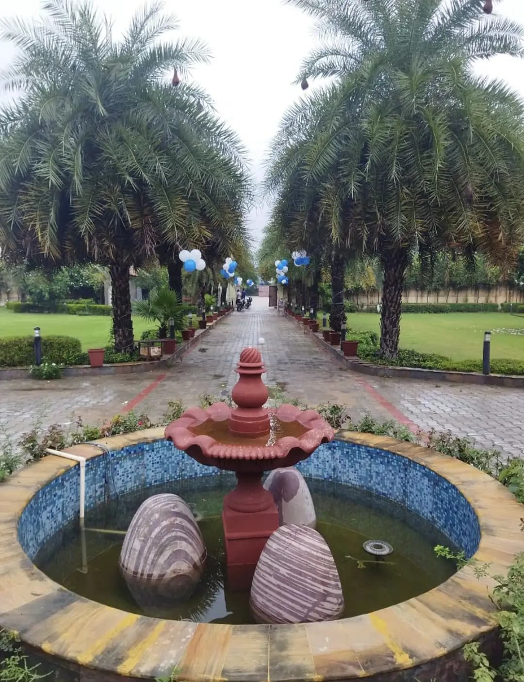 bmf-f266 delhi image 18