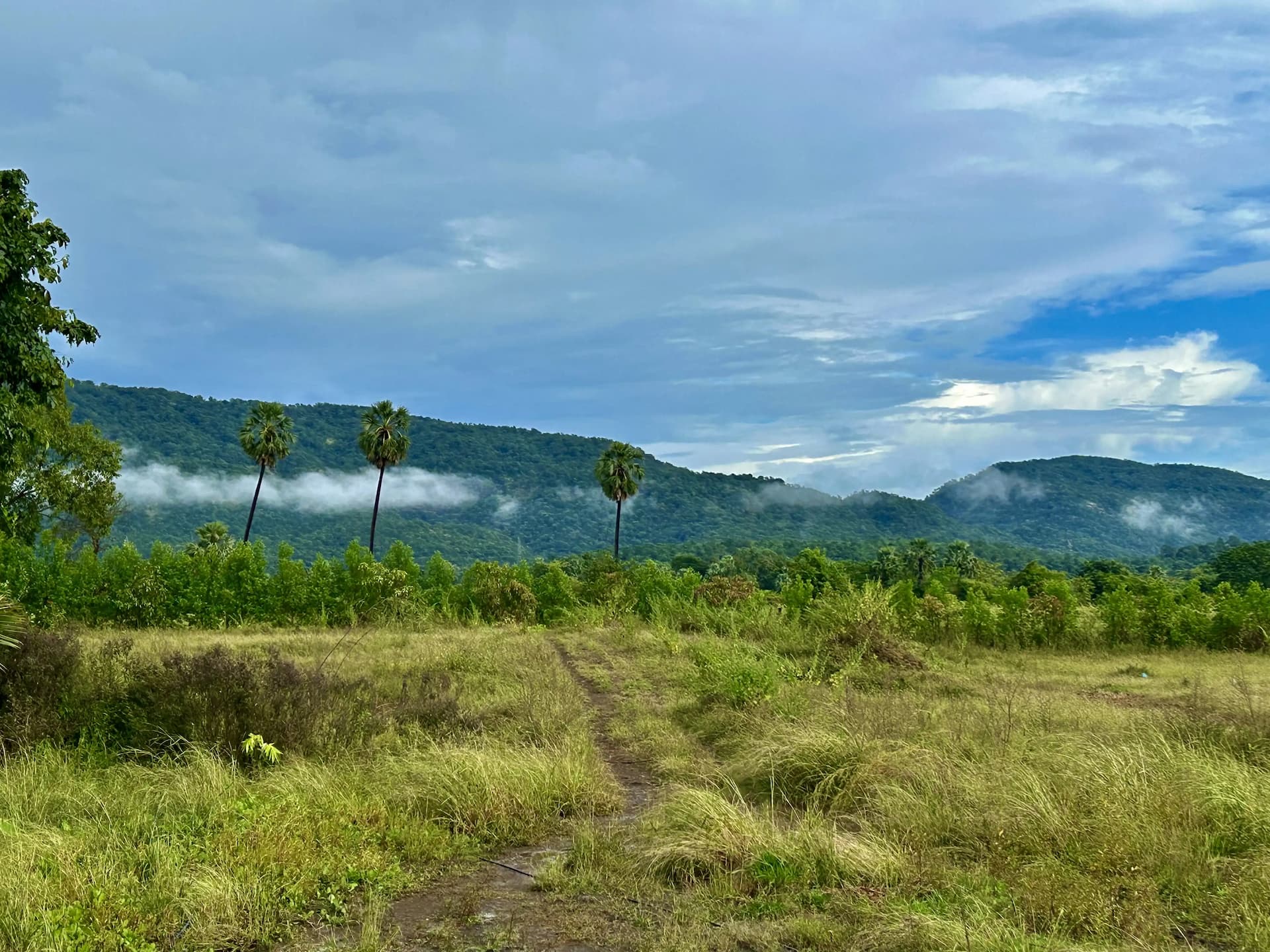 bmf-v275 palghar image 20