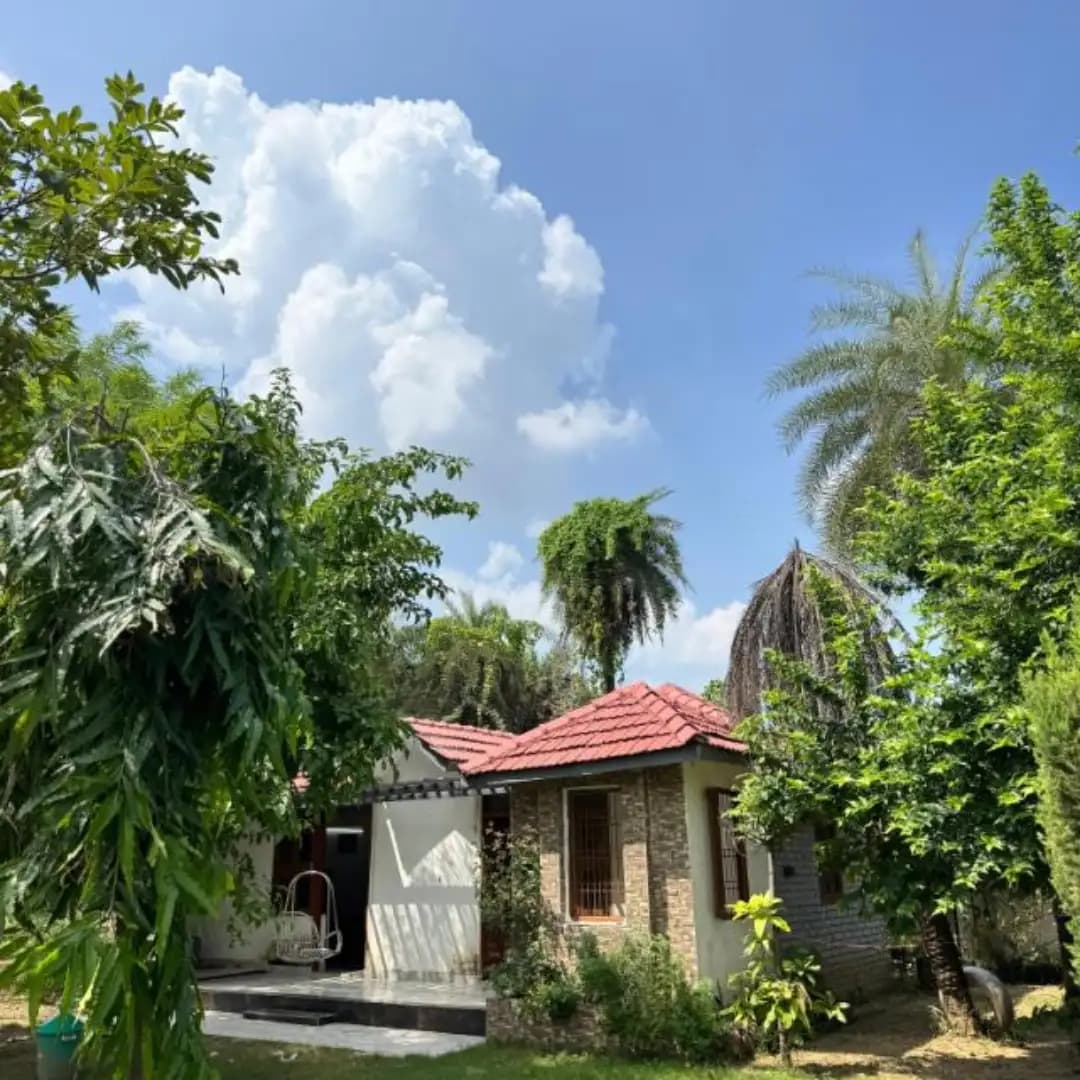 bmf-f277 faridabad image 1