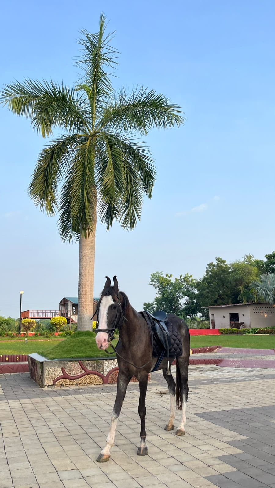 bmf-v186 raipur image 8