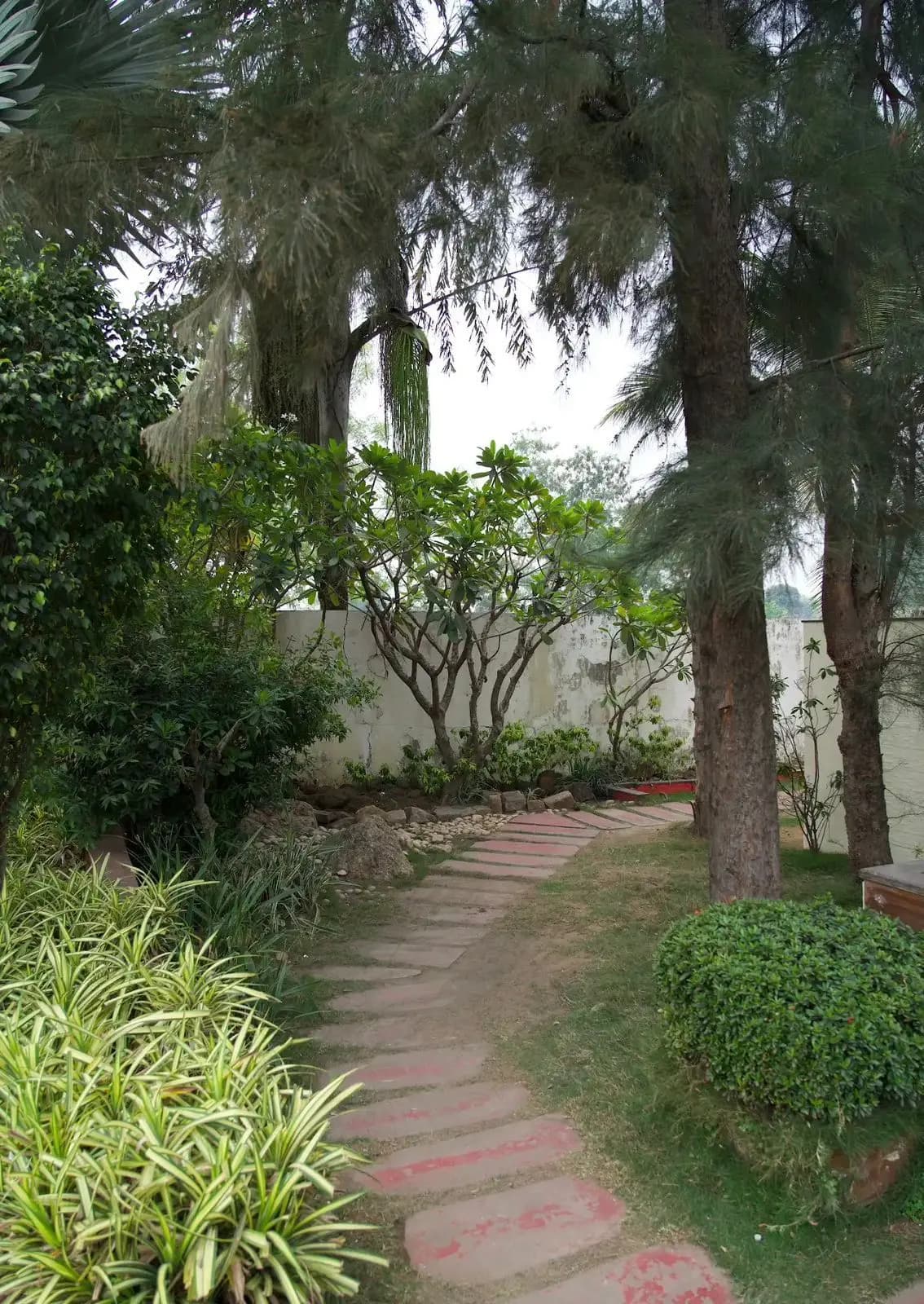 bmf-v186 raipur image 14