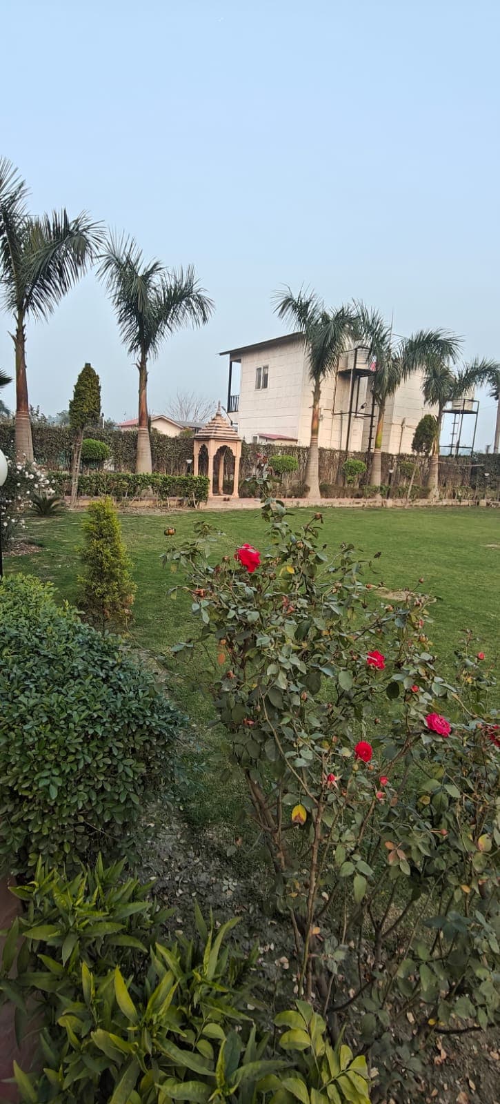 bmf-f204 delhi image 18