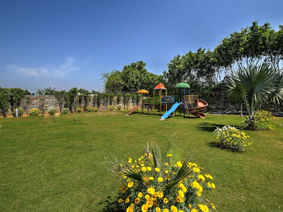 bmf-f297 delhi image 16