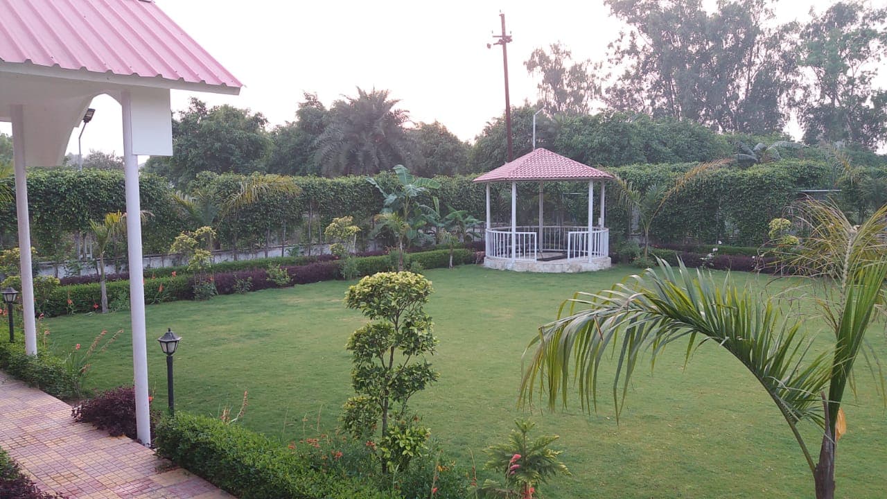 bmf-f331 delhi image 29