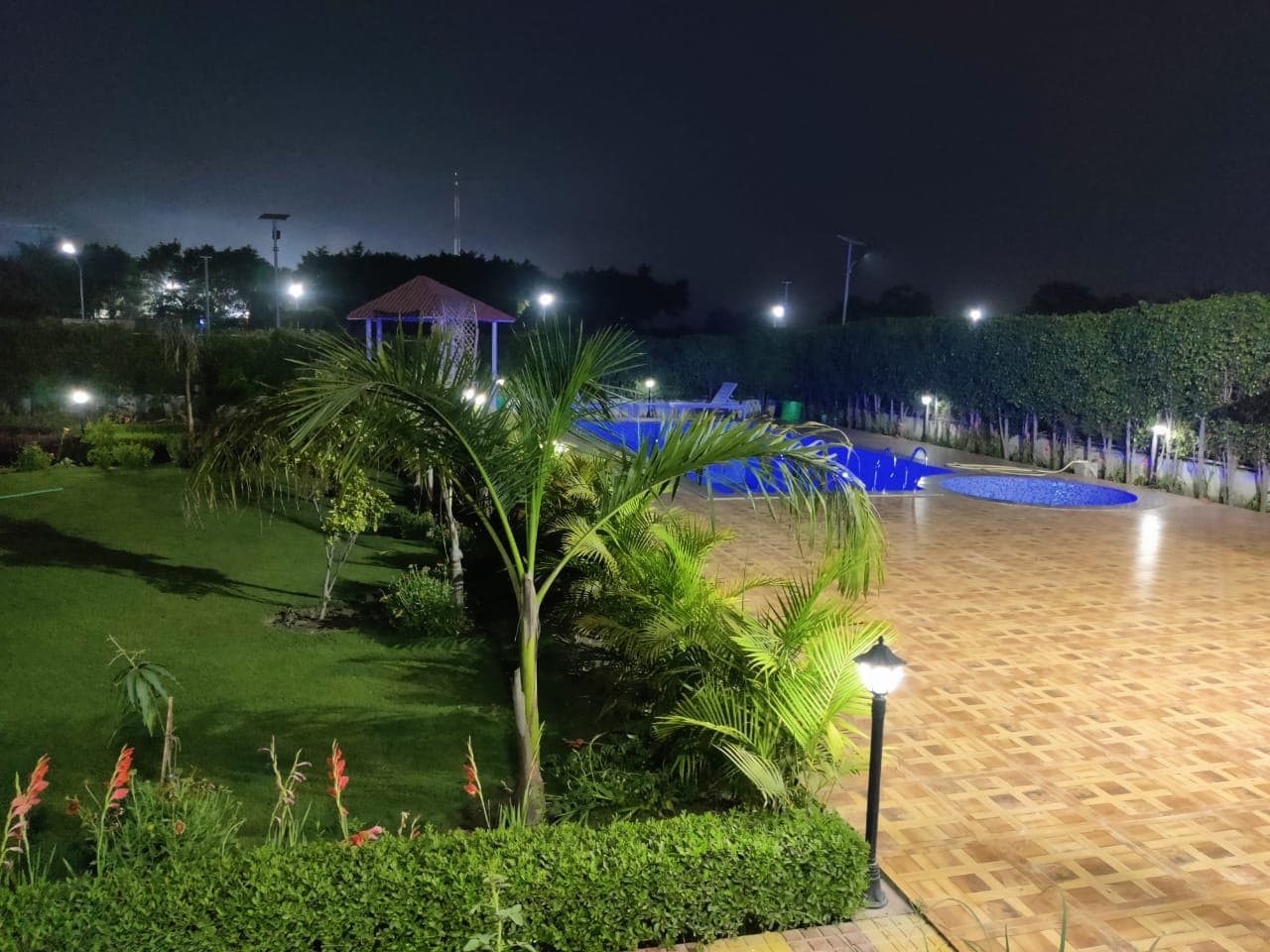 bmf-f331 delhi image 25