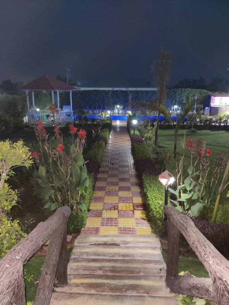 bmf-f331 delhi image 15