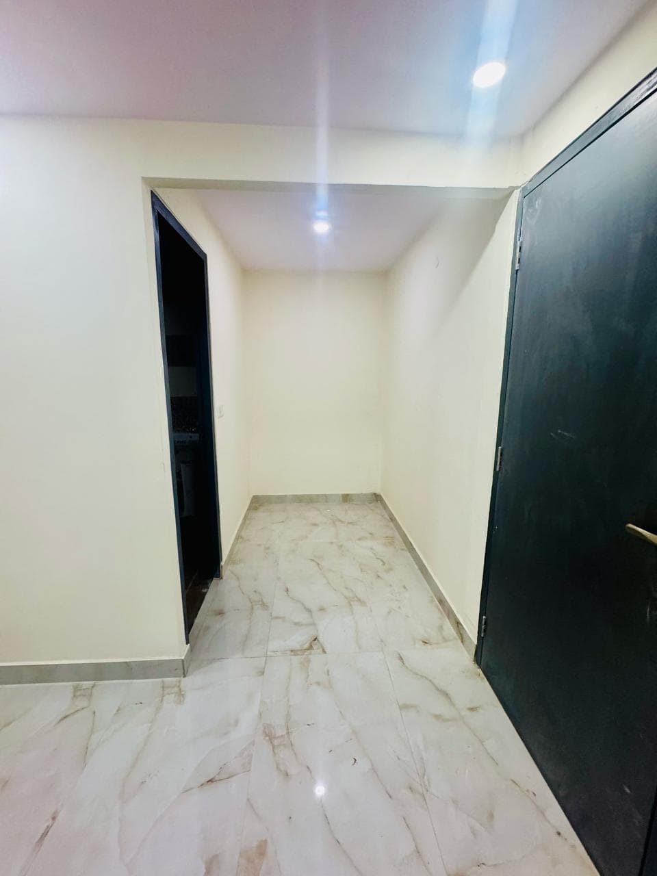 bmf-f333 delhi image 17