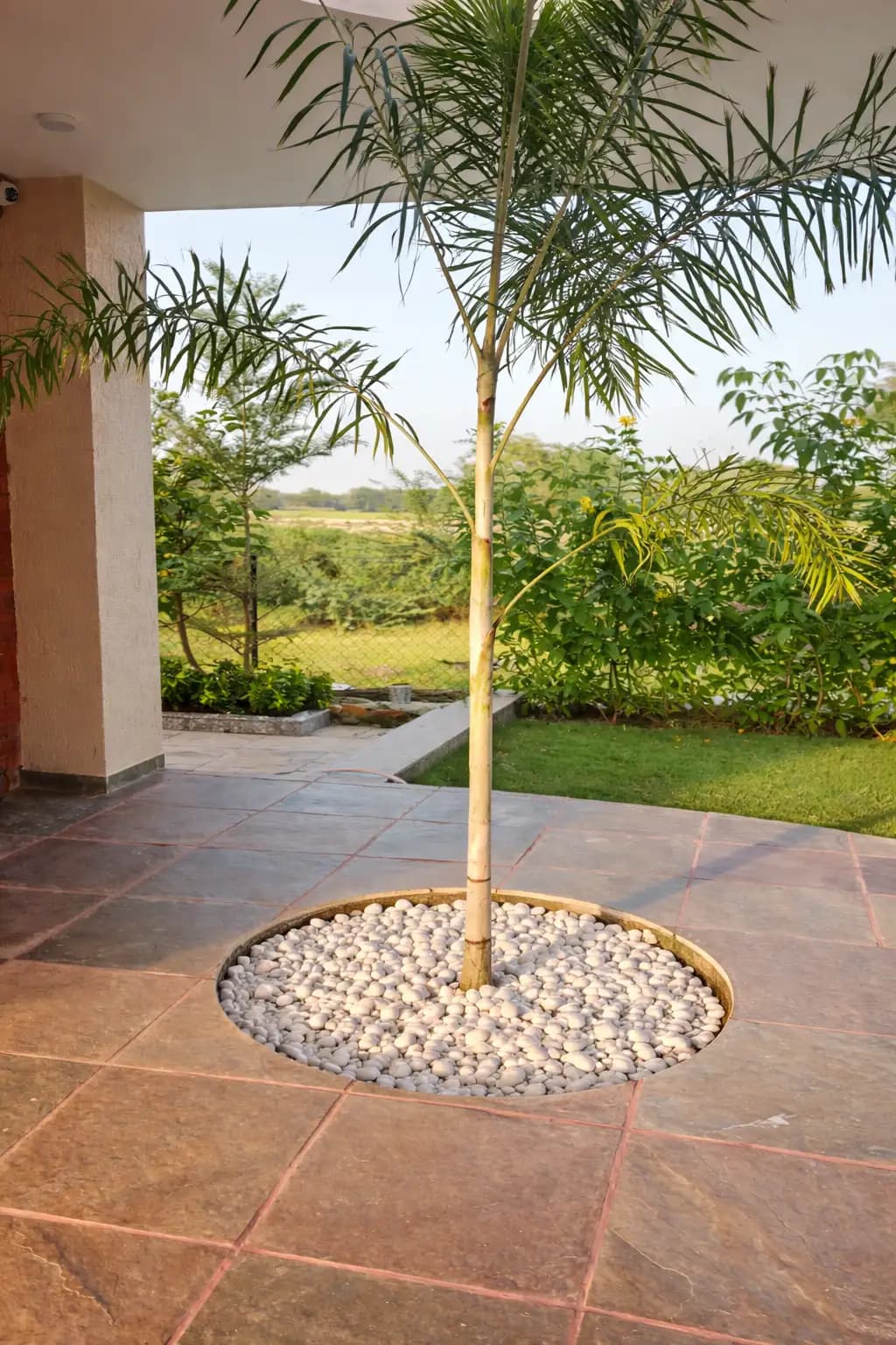 bmf-f337 ahmedabad image 15