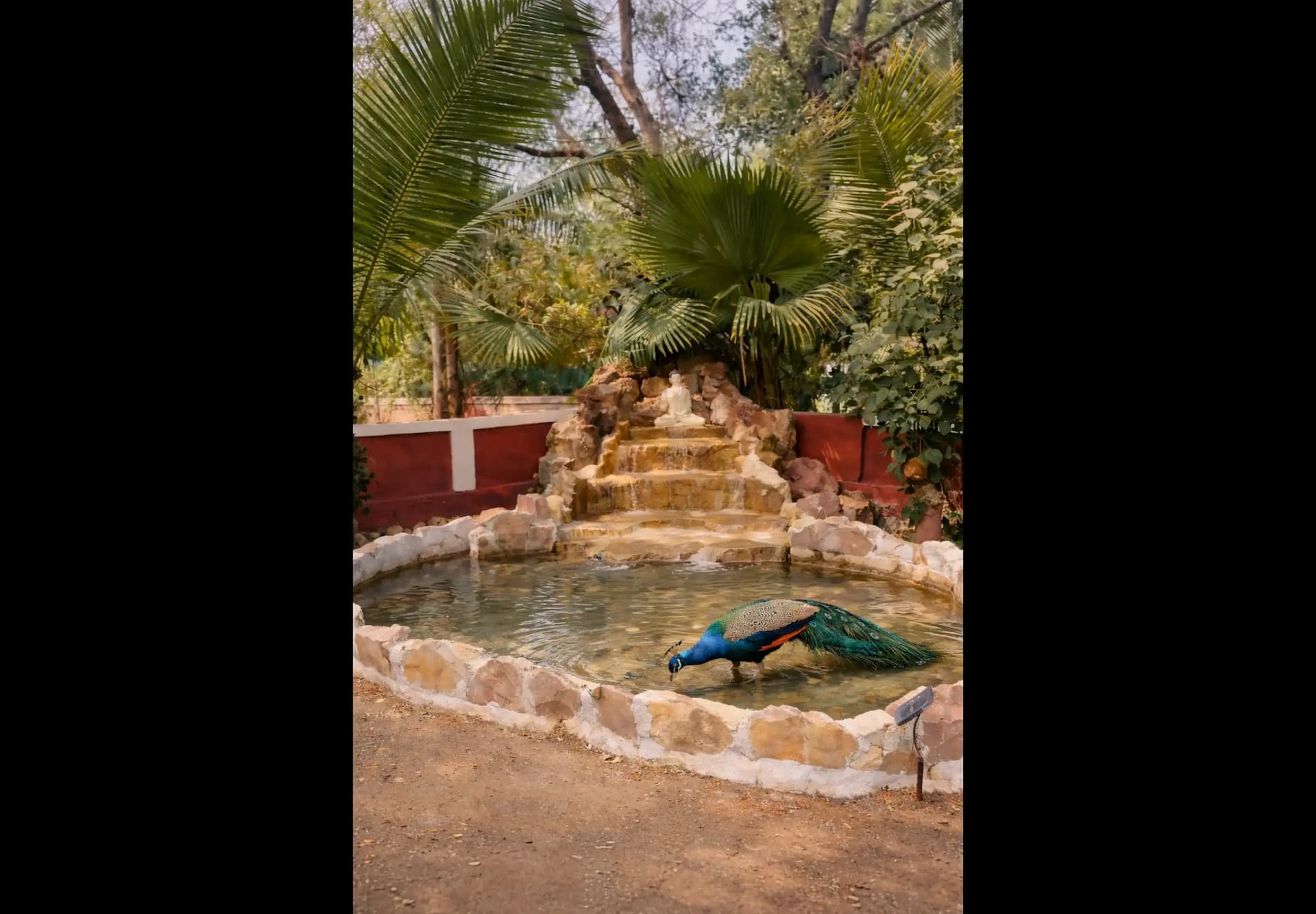 bmf-v340 ahmedabad image 14