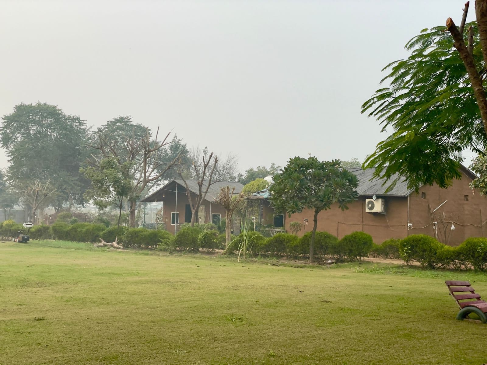 bmf-f344 delhi image 11