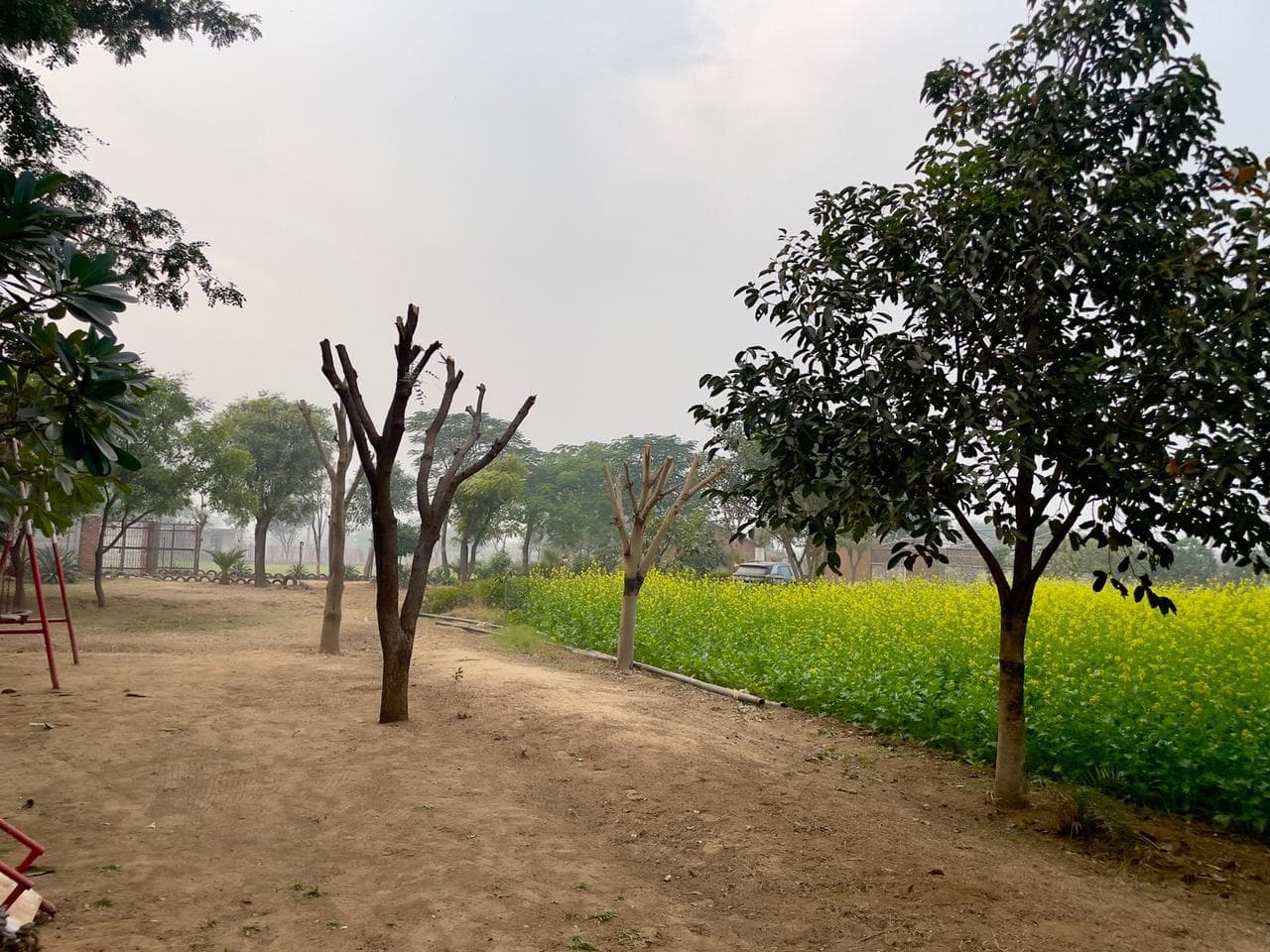 bmf-f344 delhi image 15