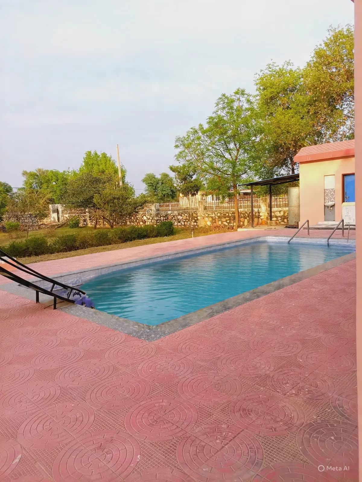 bmf-f354 jaipur image 1