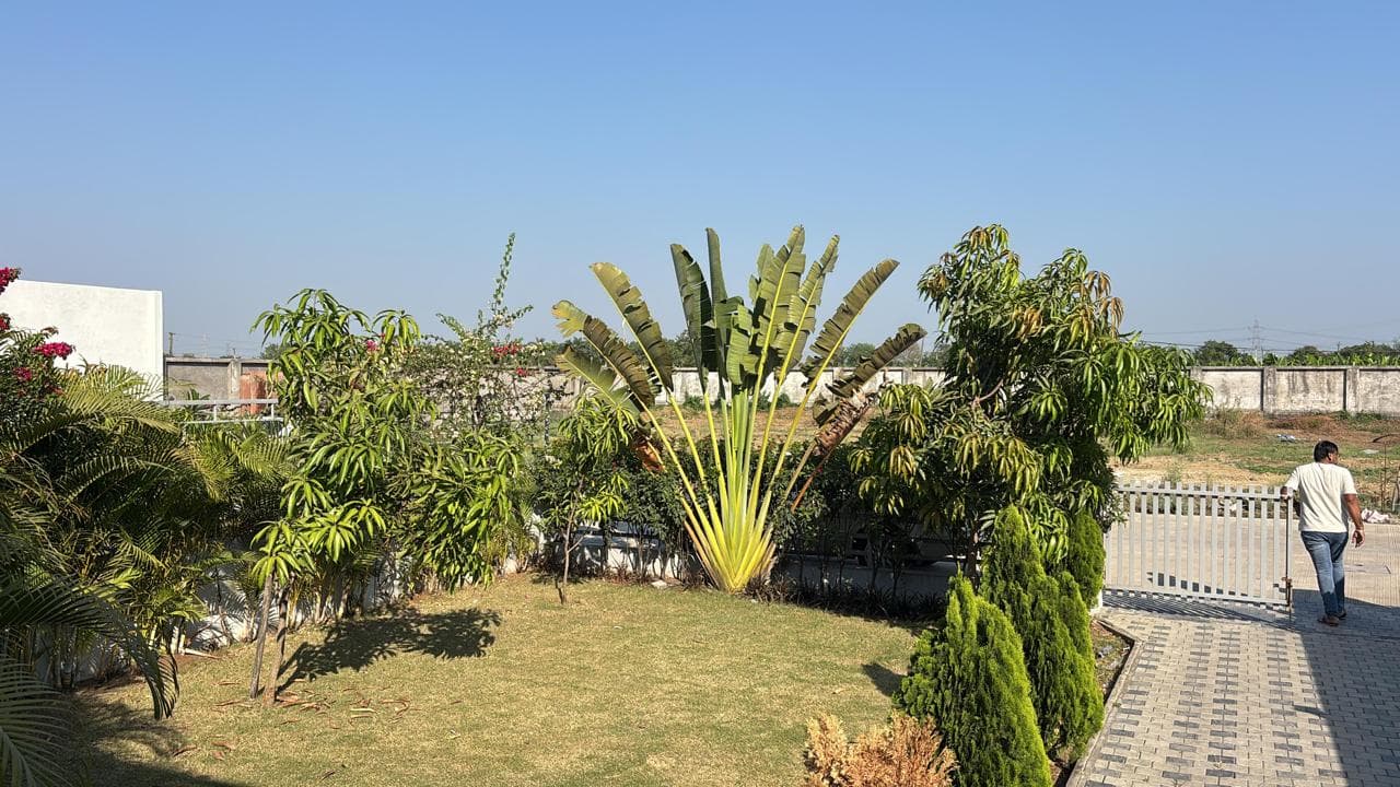bmf-f363 surat image 10