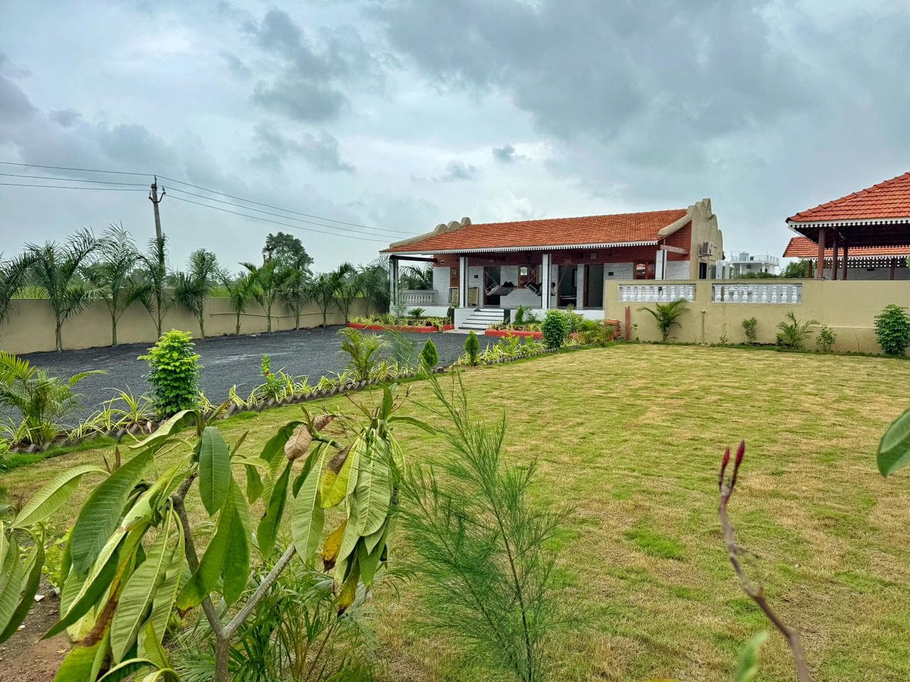 bmf-f126 surat image 10