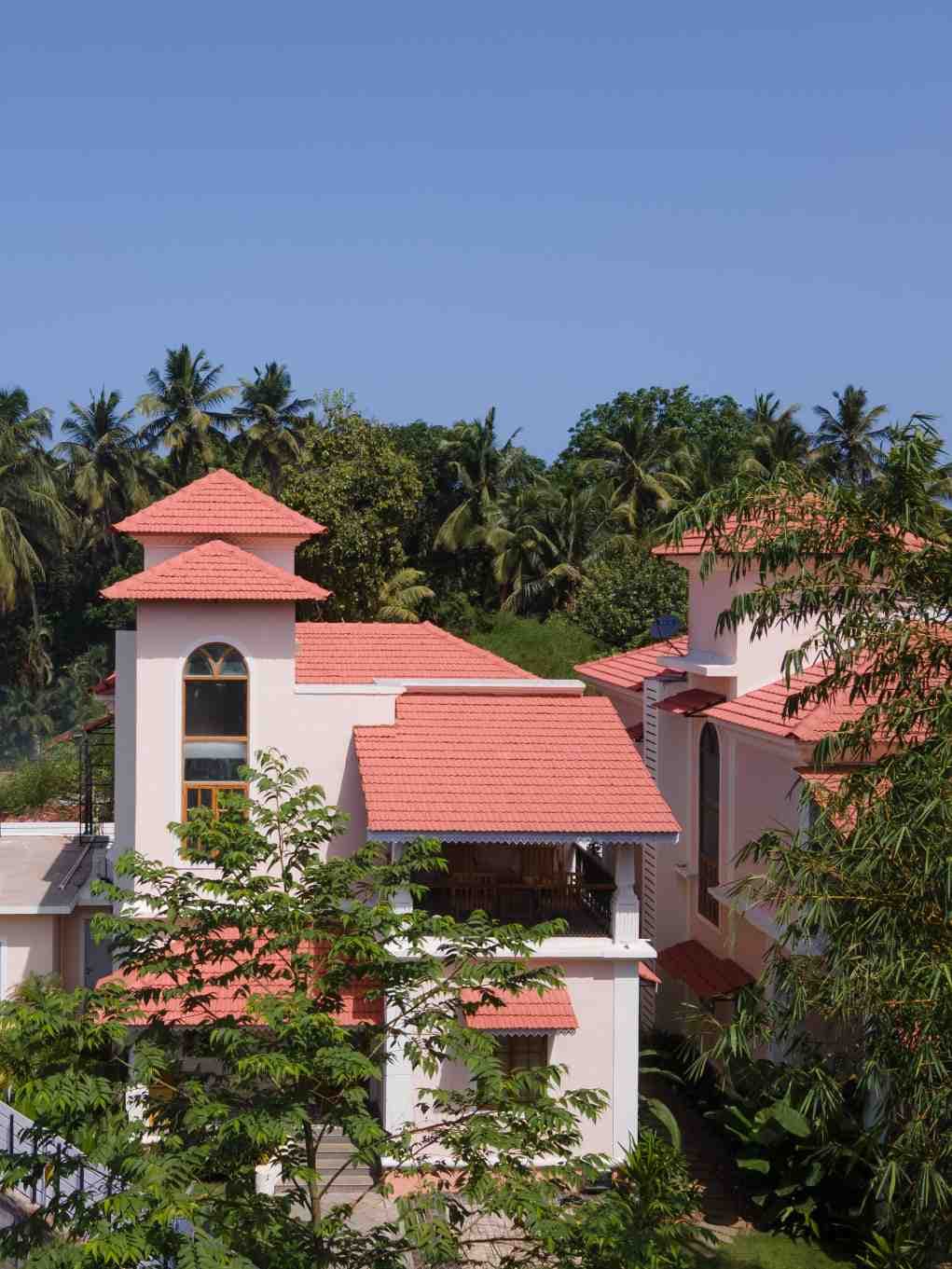 bmf-r381 goa image 3