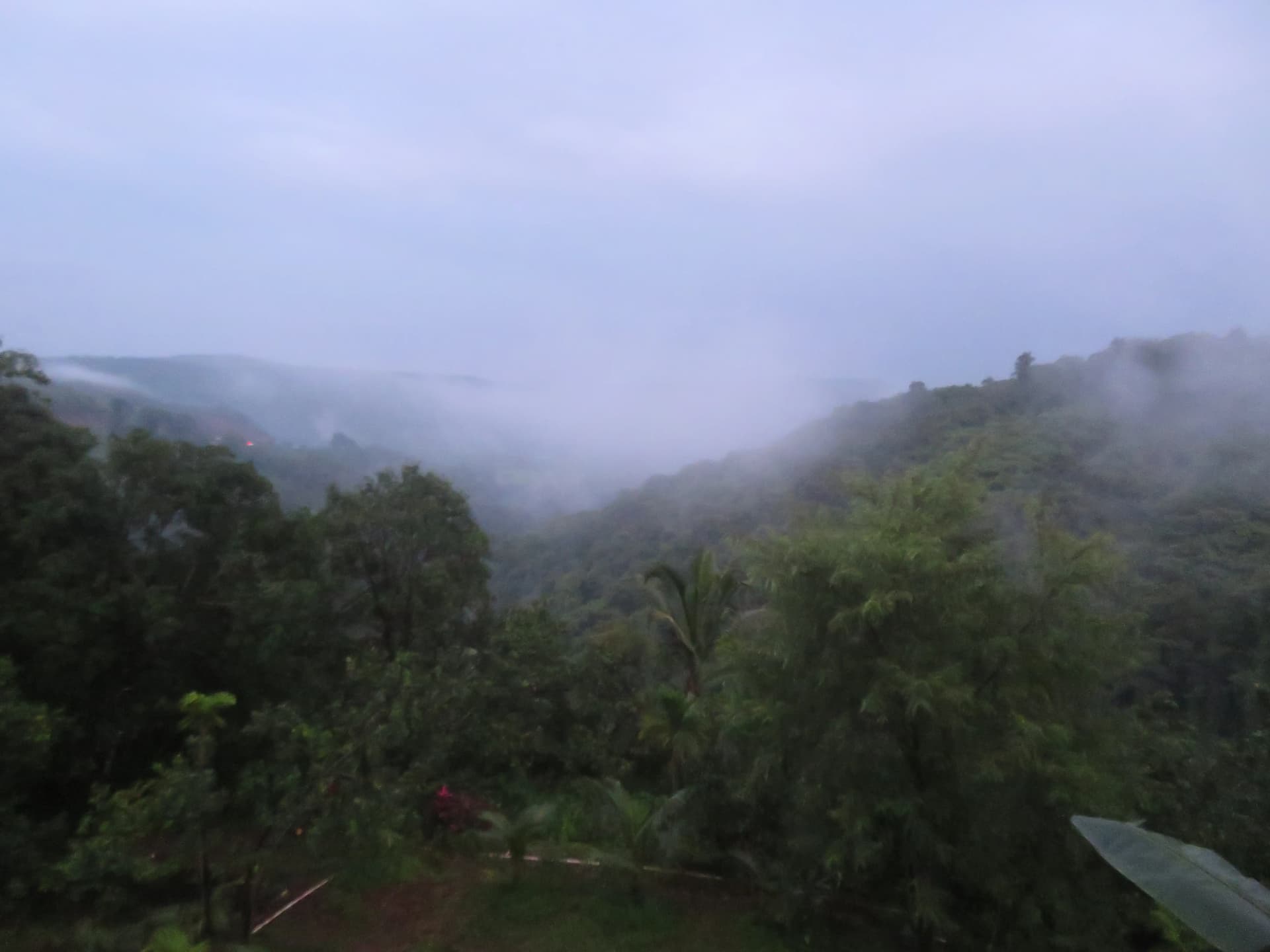 bmf-v414 ratnagiri image 22