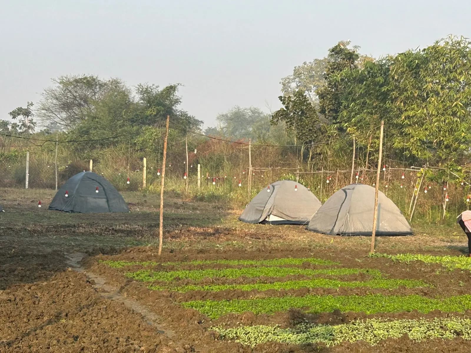 bmf-f431 raipur image 5