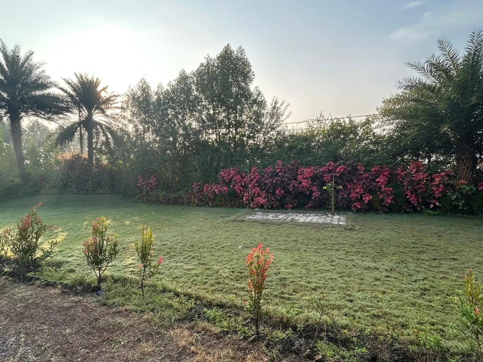 bmf-f431 raipur image 7