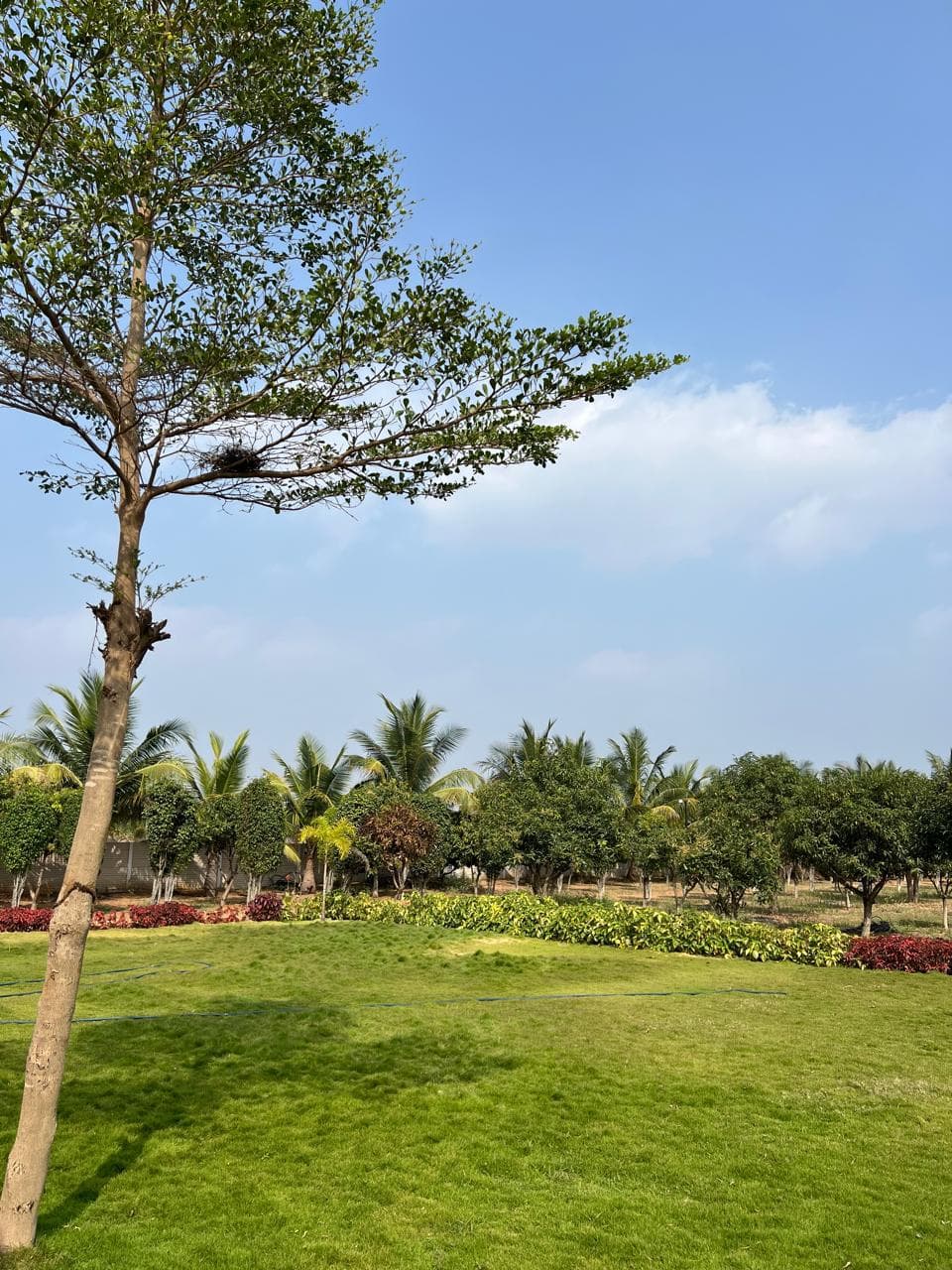 bmf-f432 hyderabad image 10