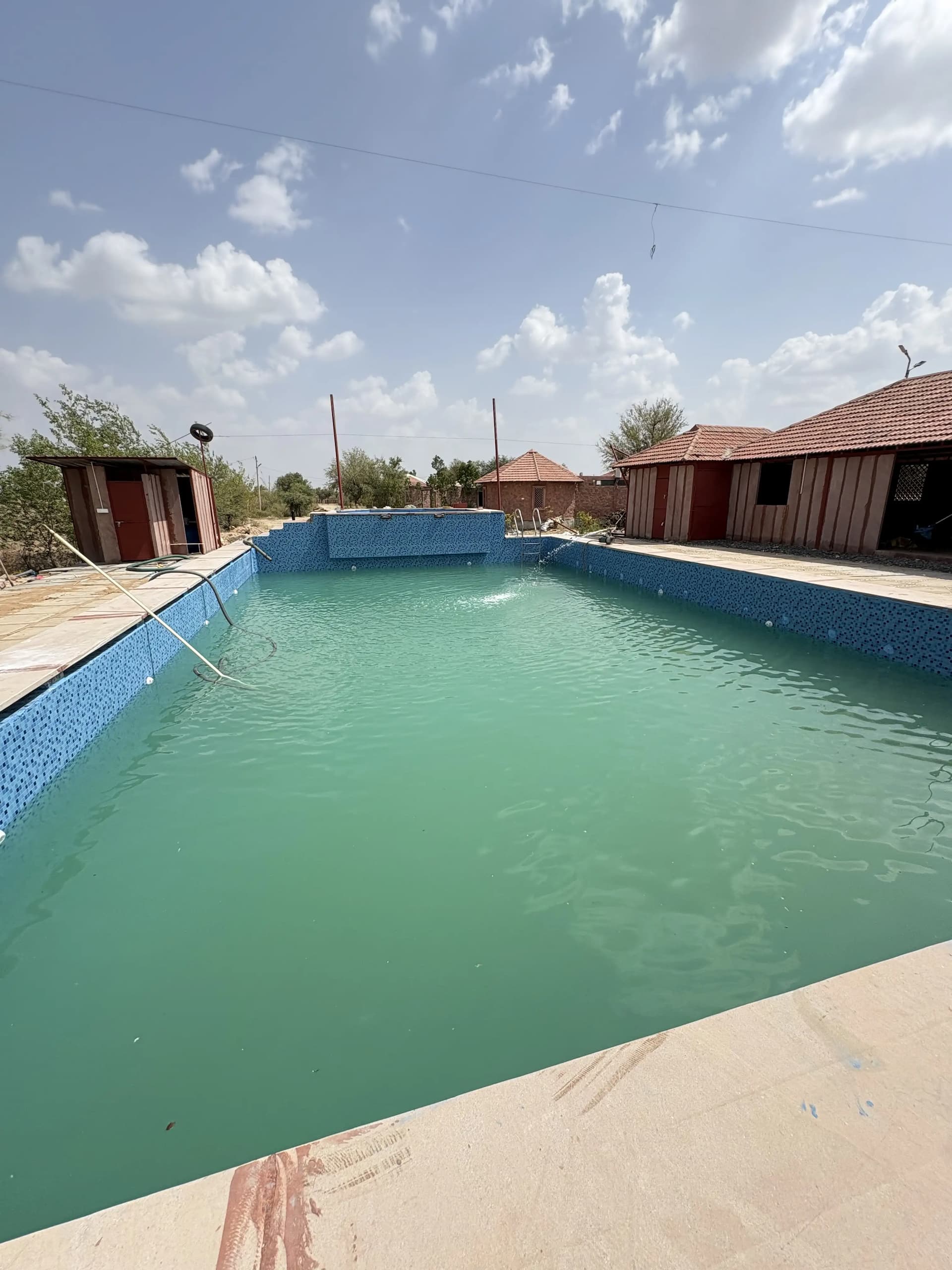 bmf-f452 jodhpur image 9