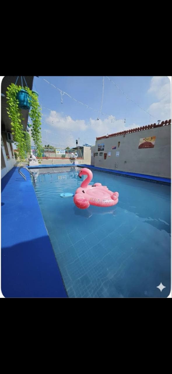 bmf-f497 jaipur image 11