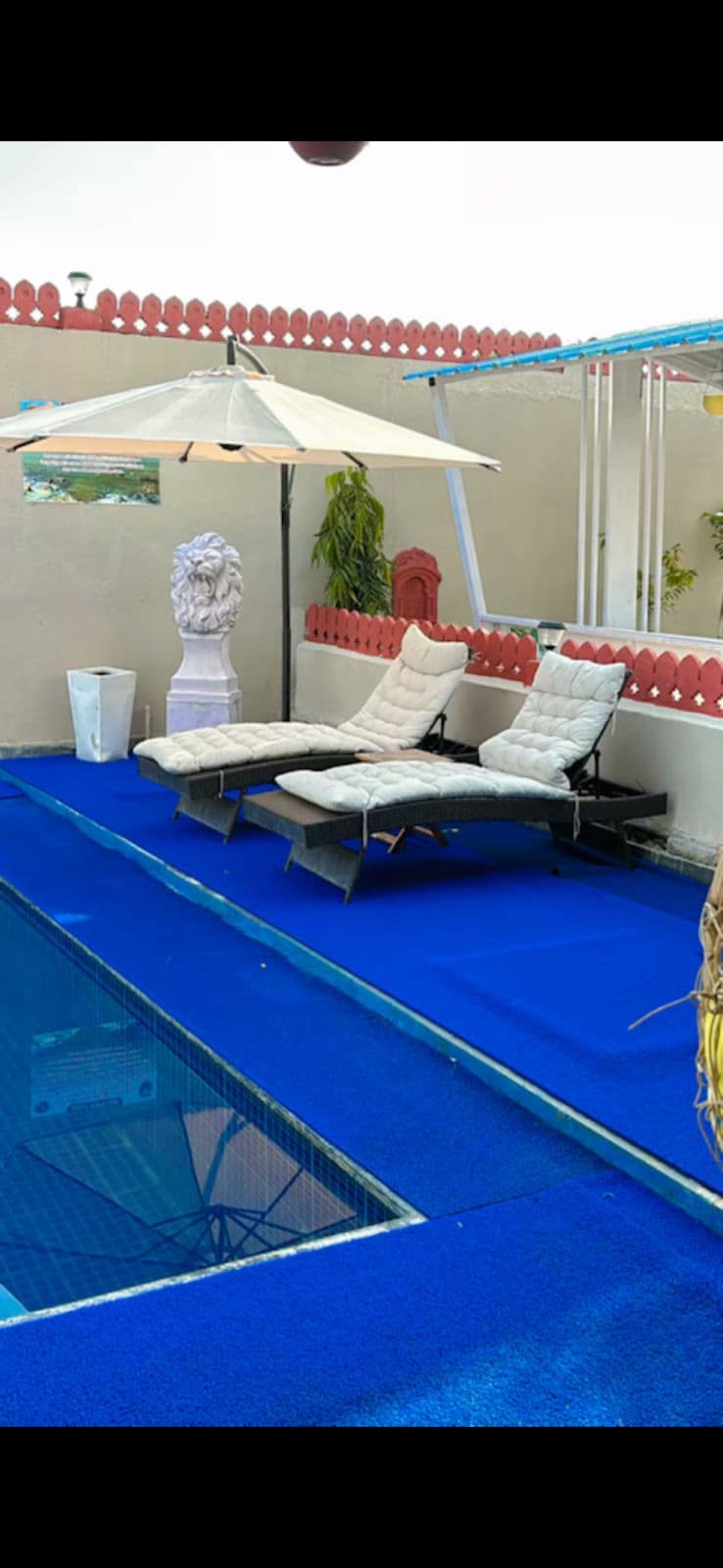 bmf-f497 jaipur image 13