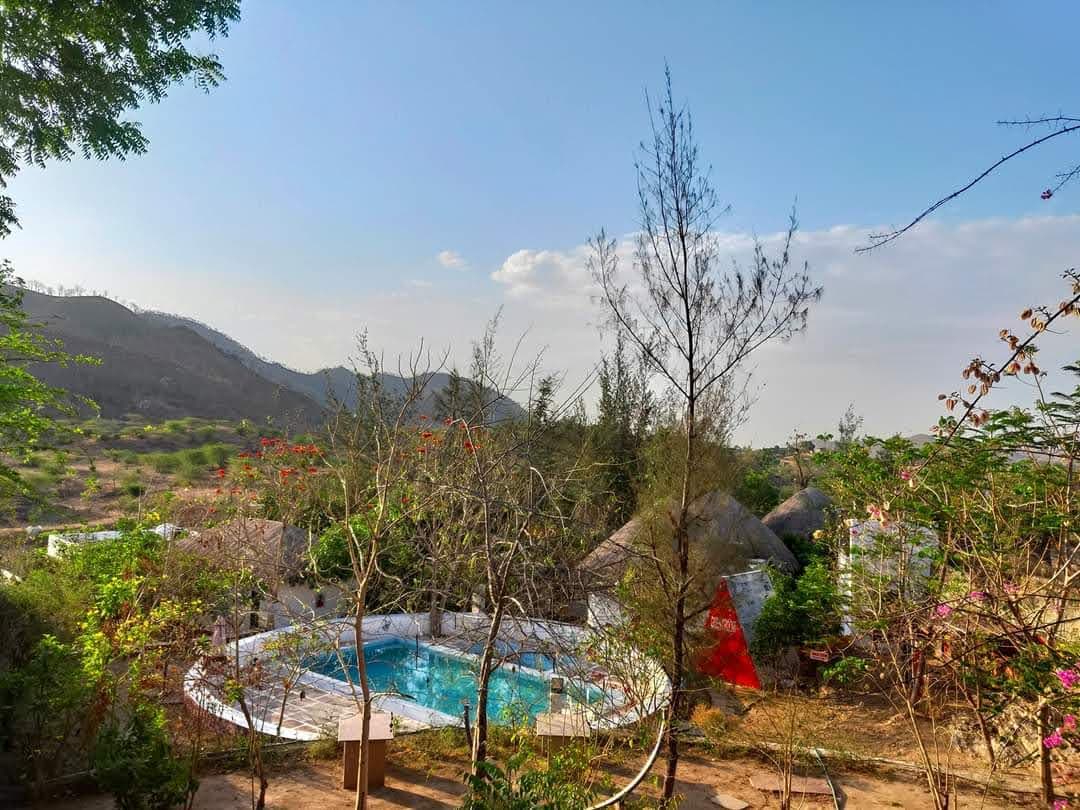 bmf-r498 udaipur image 13