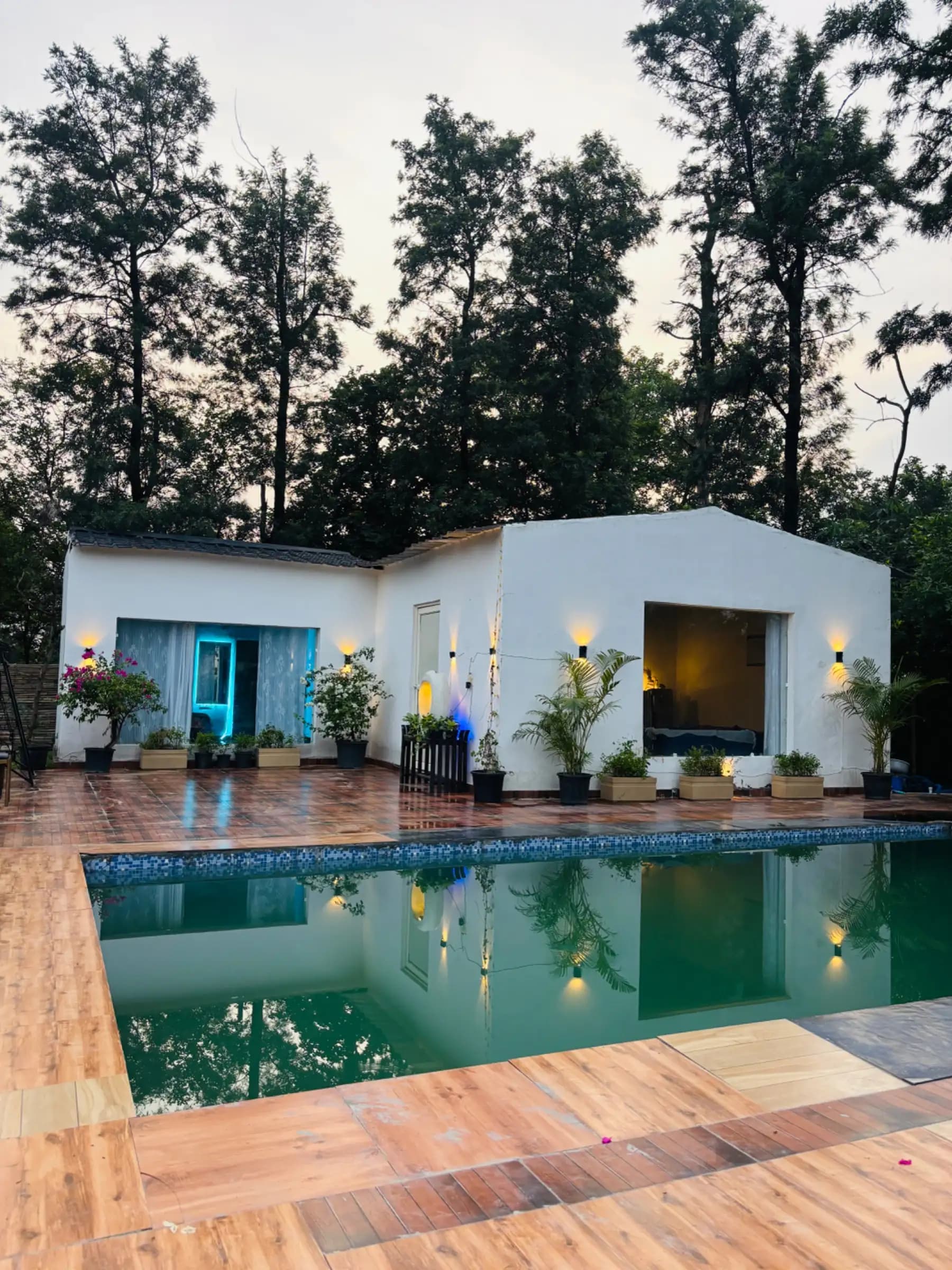 bmf-f505 delhi image 6