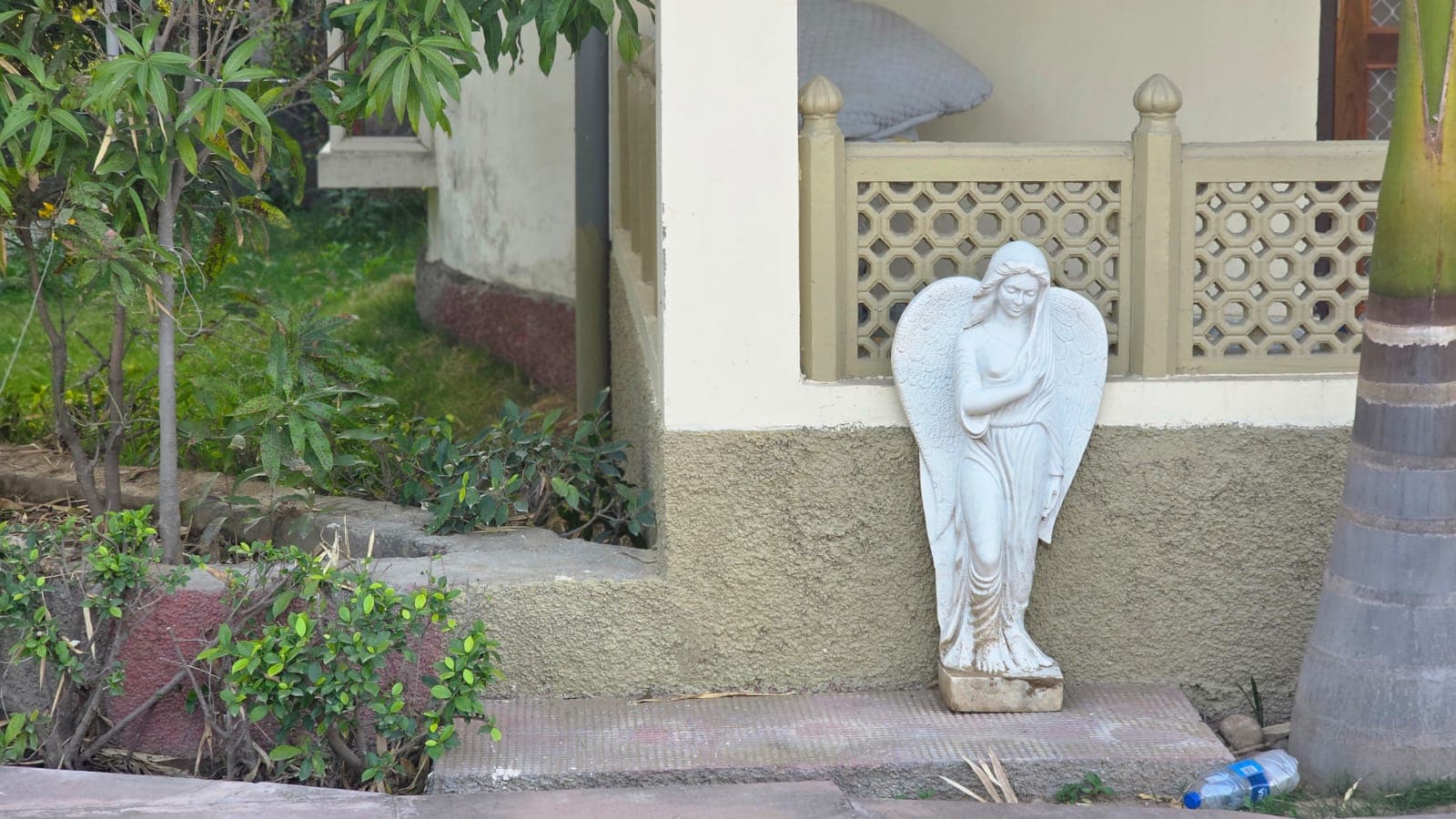 bmf-f509 pushkar image 22