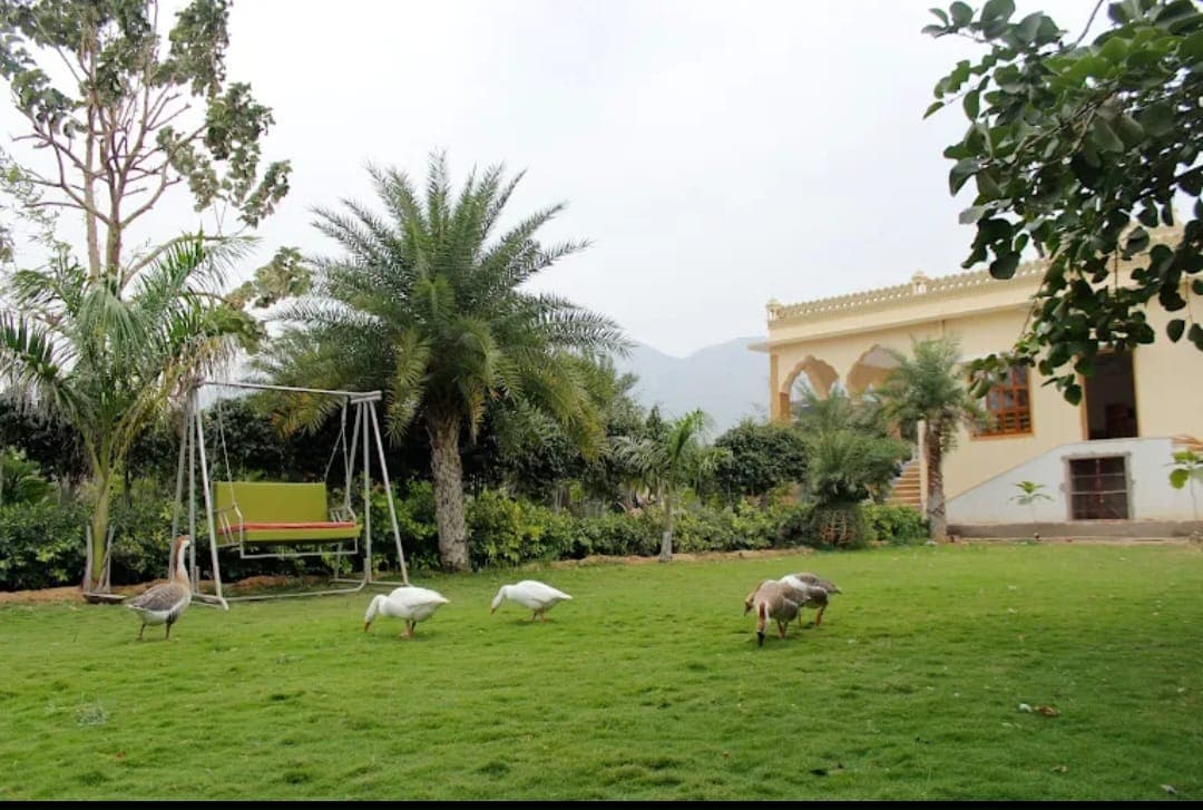 bmf-f509 pushkar image 17