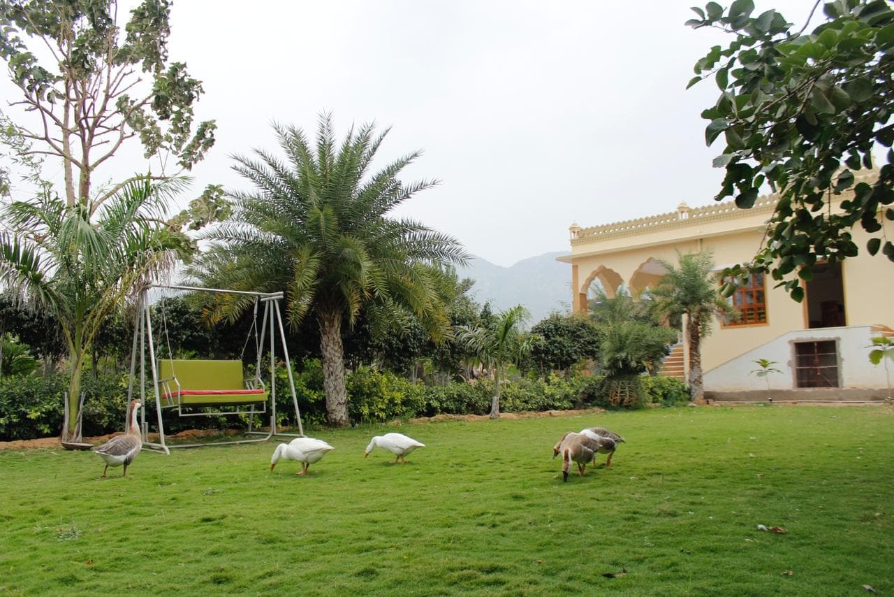 bmf-f509 pushkar image 21