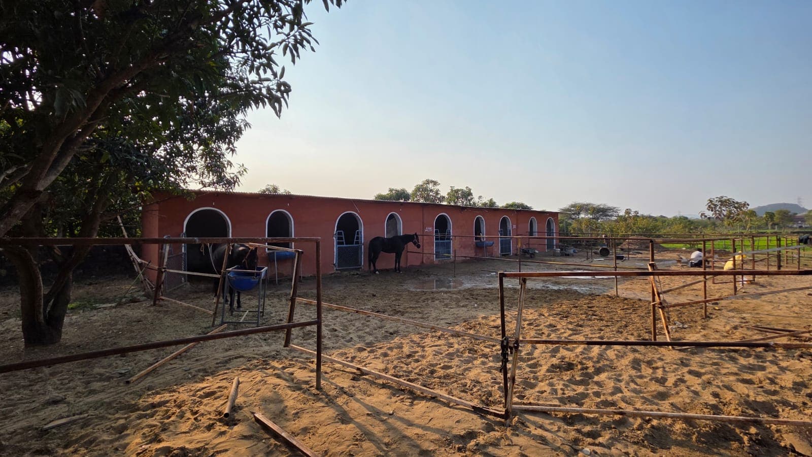 bmf-f509 pushkar image 25