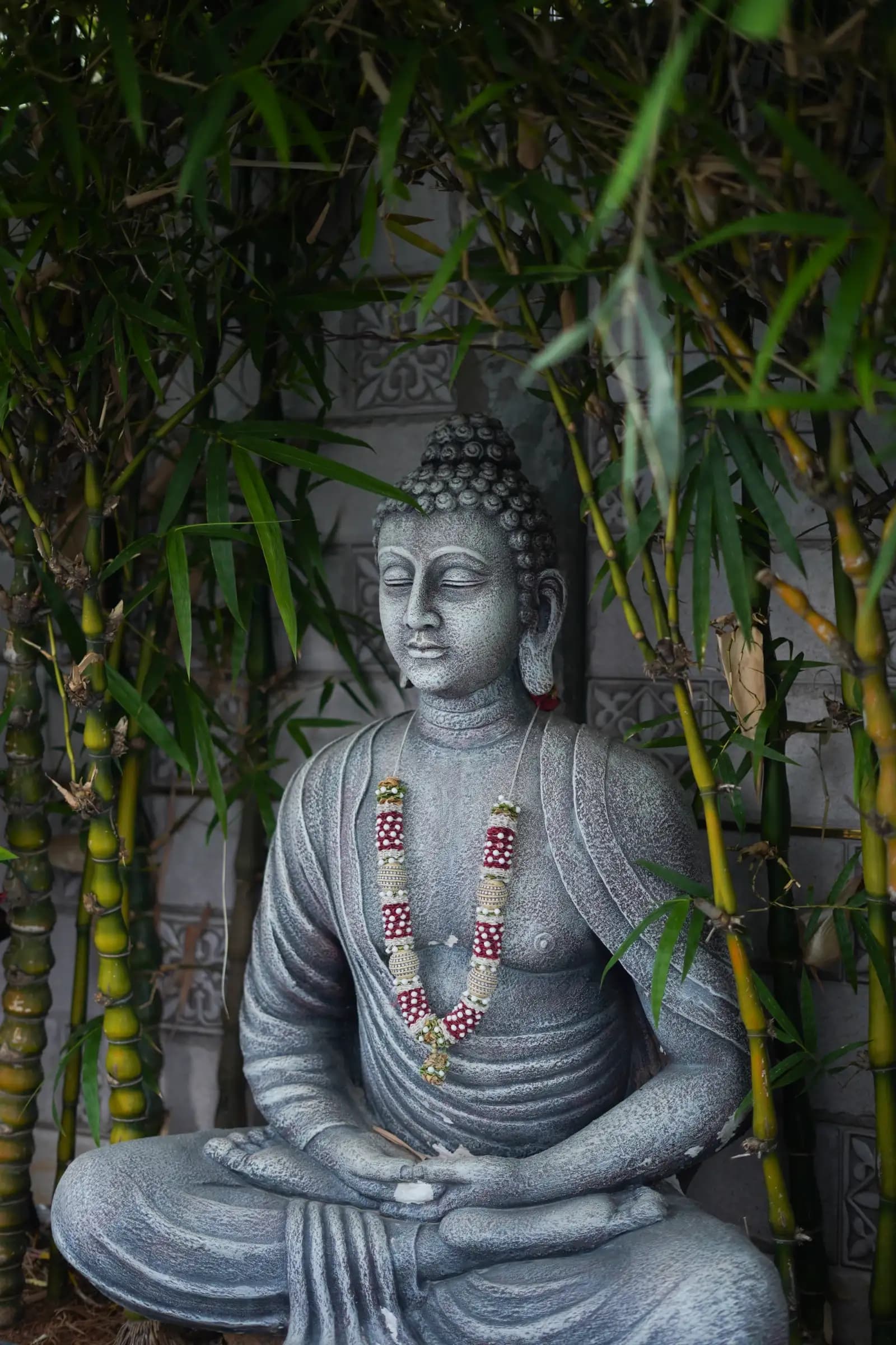 bmf-f512 hyderabad image 16