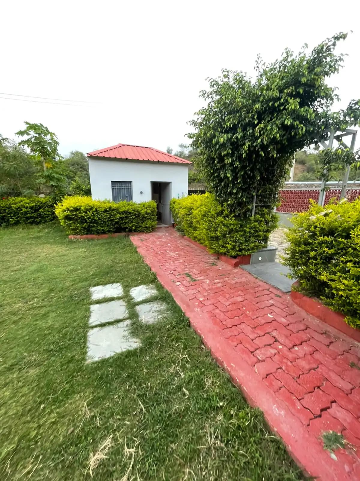 bmf-f513 udaipur image 11