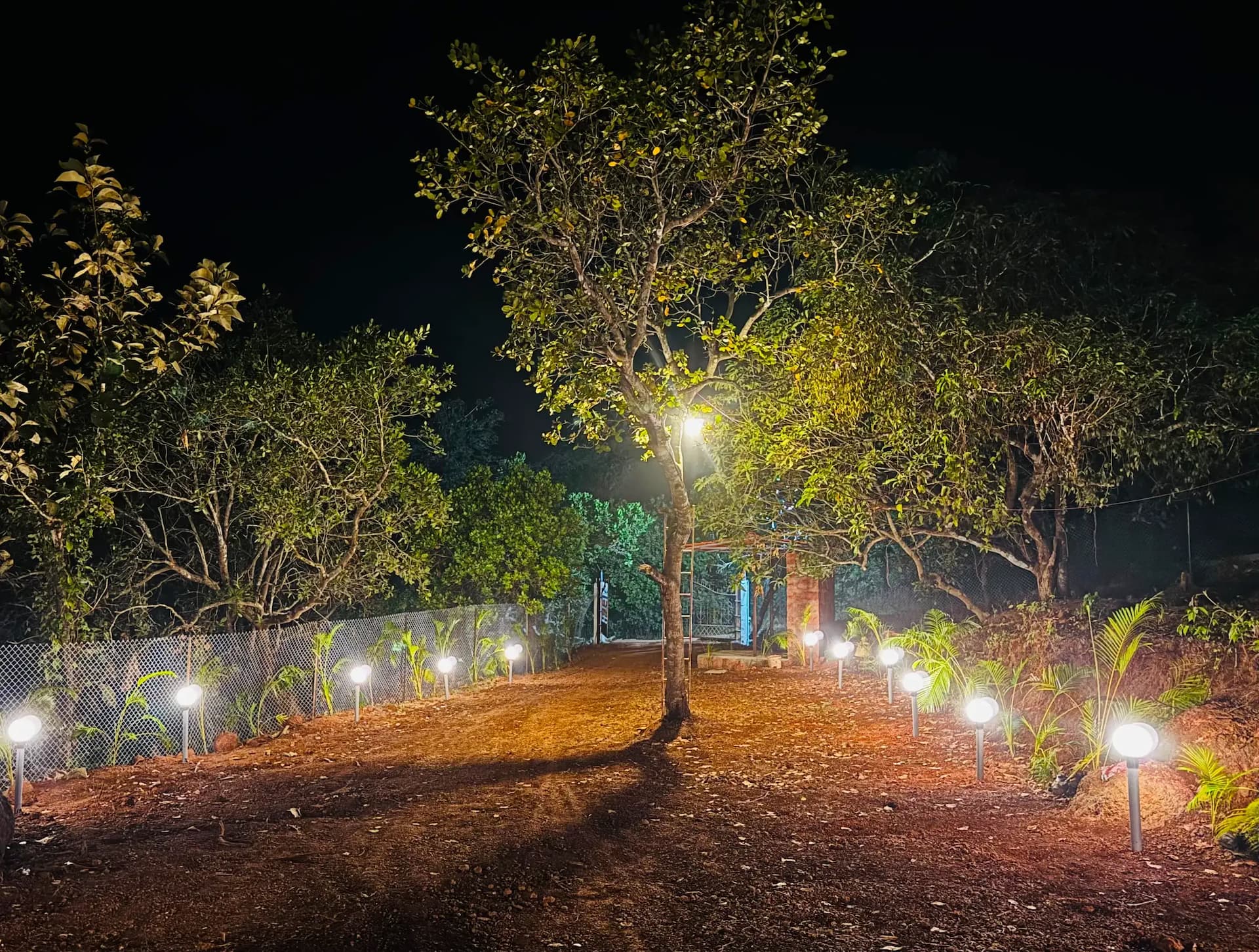 bmf-f523 goa image 13