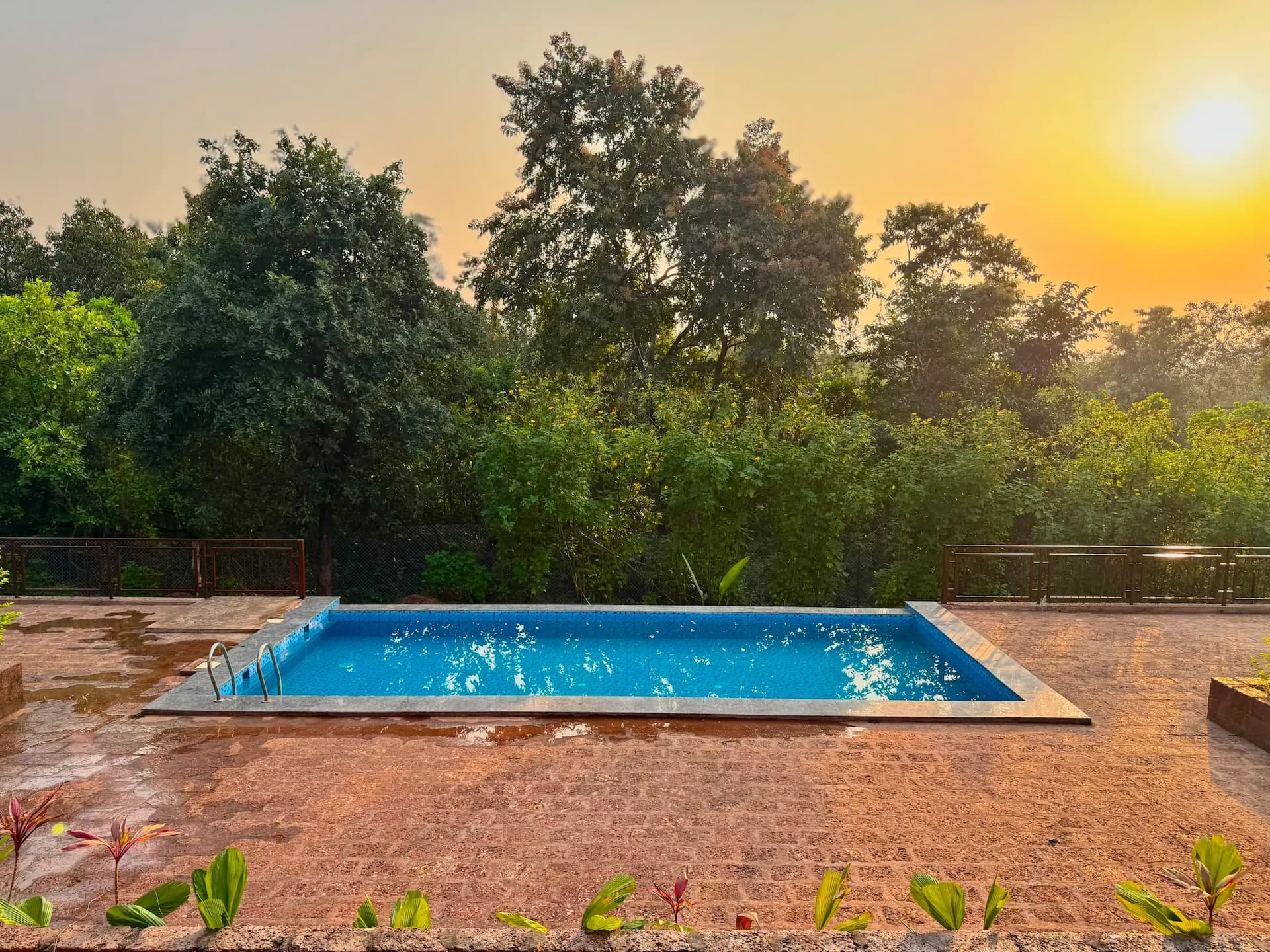 bmf-f523 goa image 18