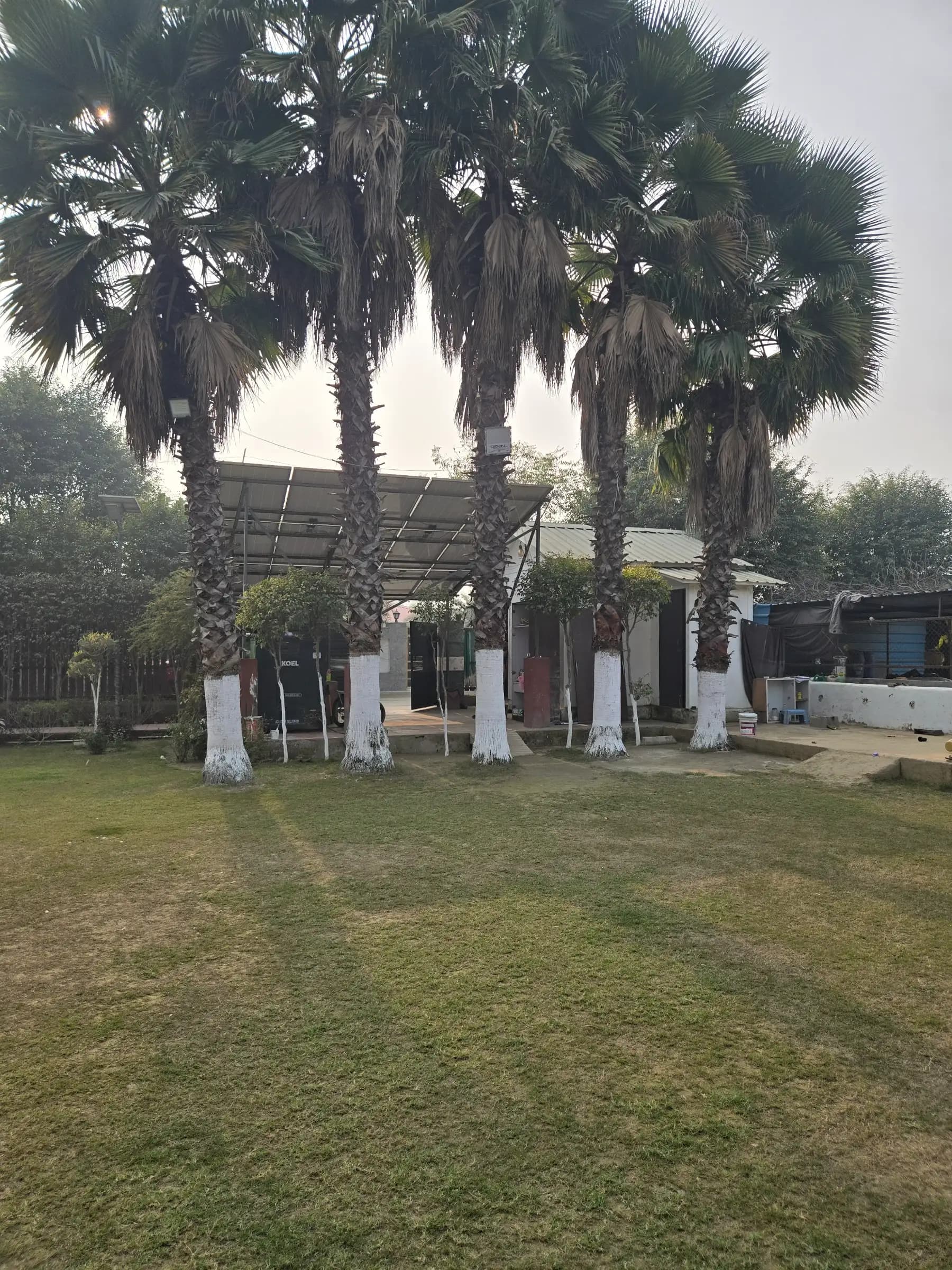bmf-f536 delhi image 8