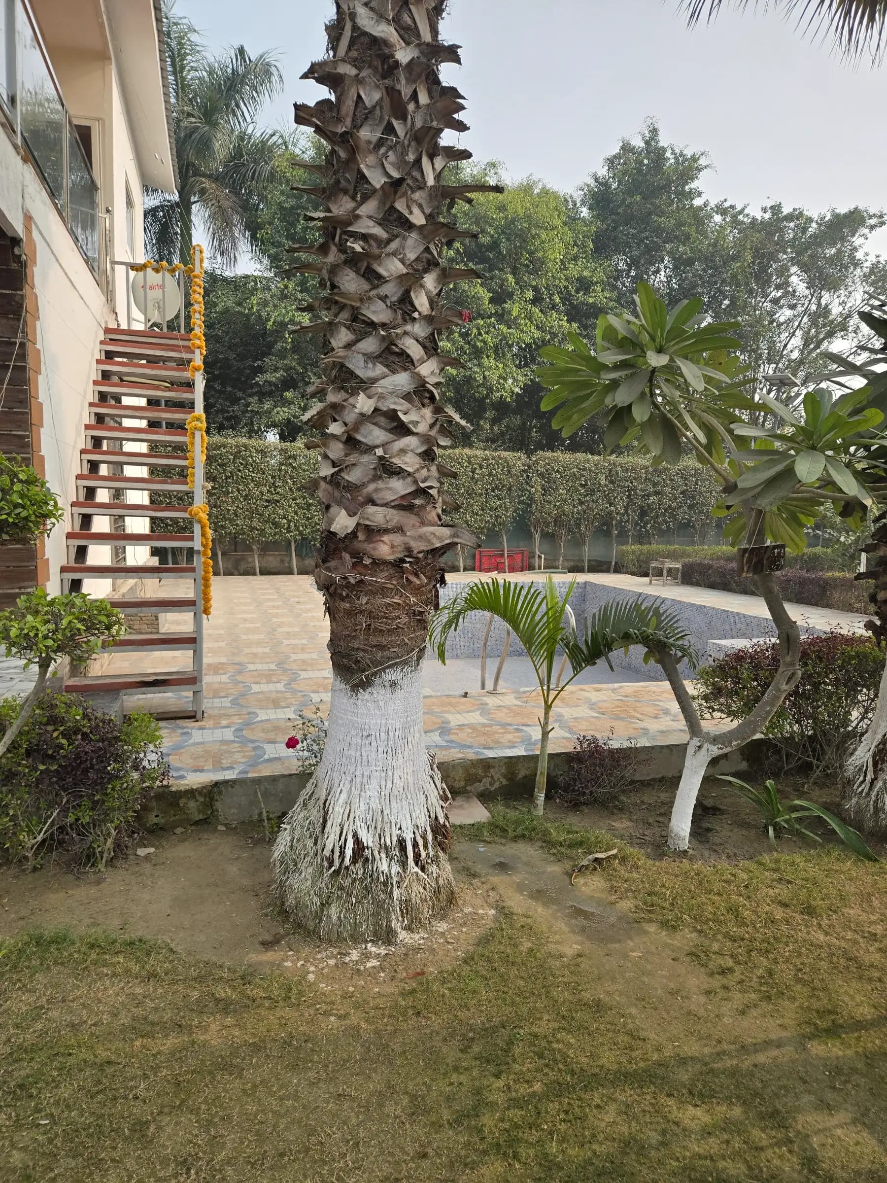 bmf-f536 delhi image 7