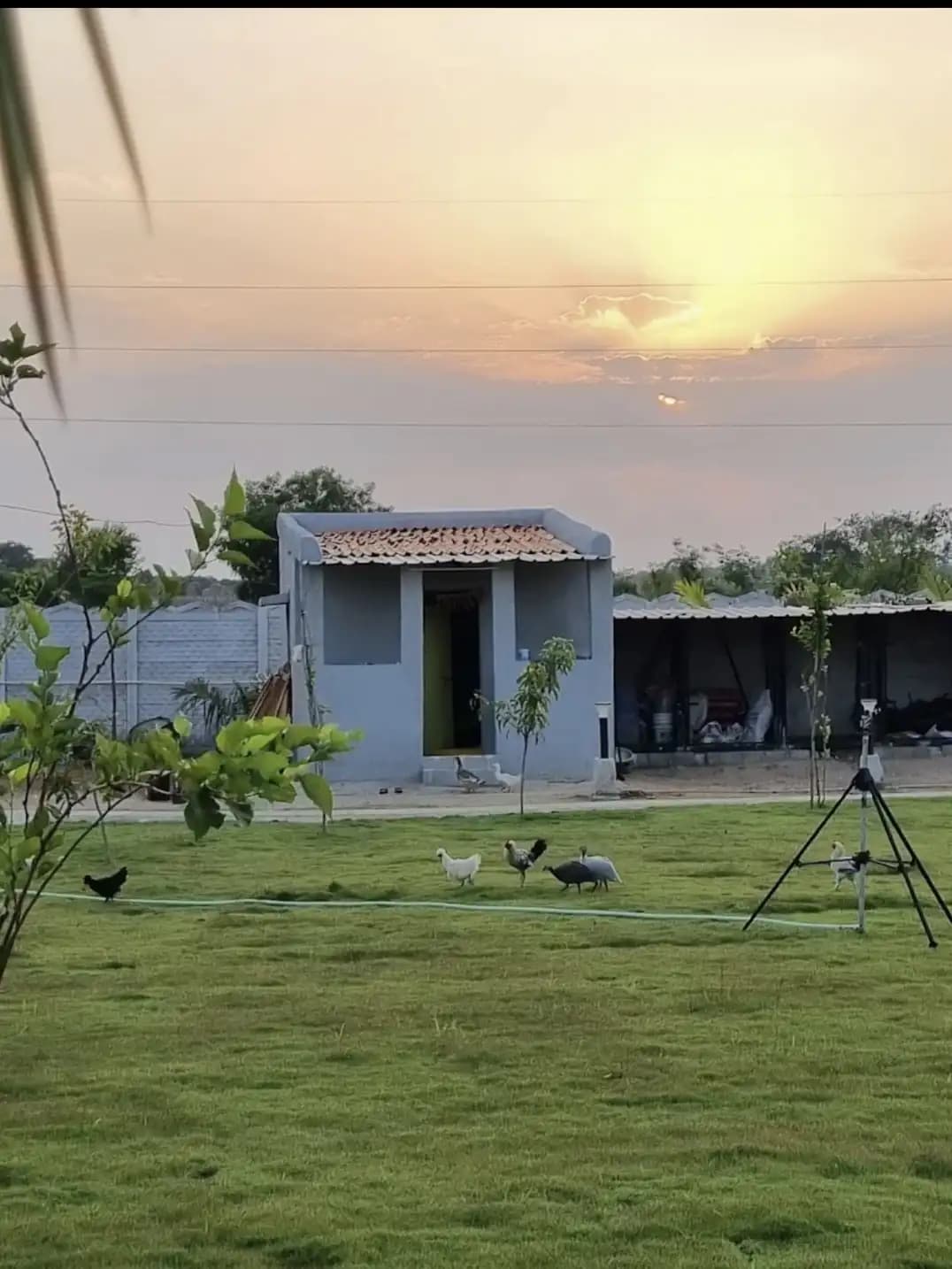 bmf-f544 hyderabad image 16