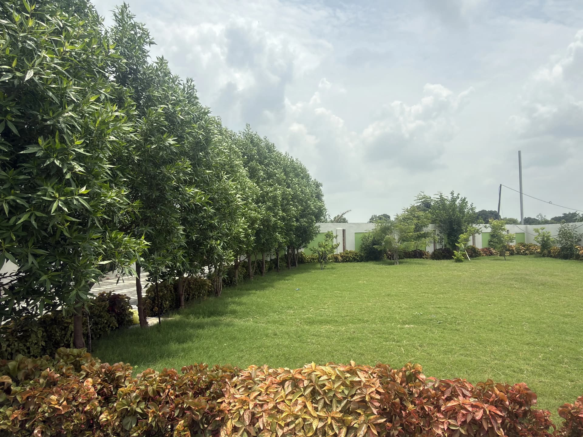bmf-f545 bhopal image 14