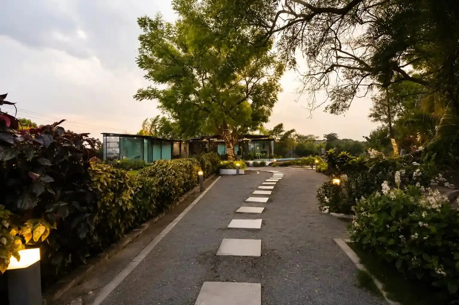 bmf-f547 hyderabad image 10